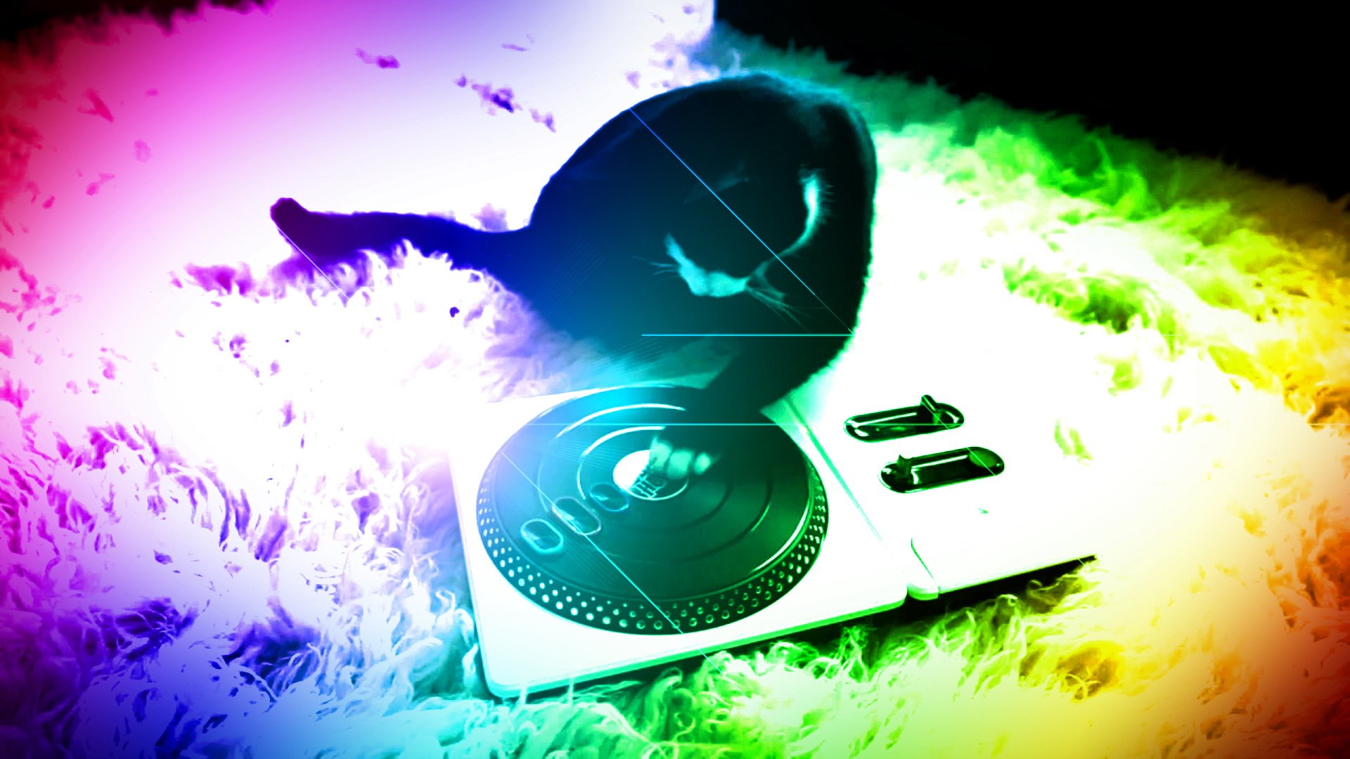 创意,猫,喵星人,炫彩,儿童桌面专用