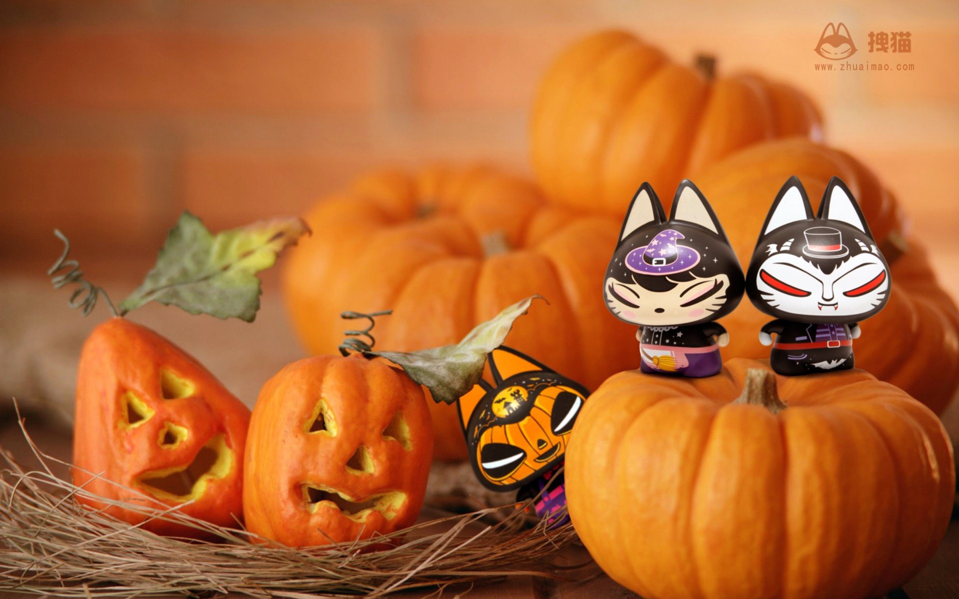 动漫,拽猫,万圣节,卡通,诡异,恶搞,儿童桌面专用