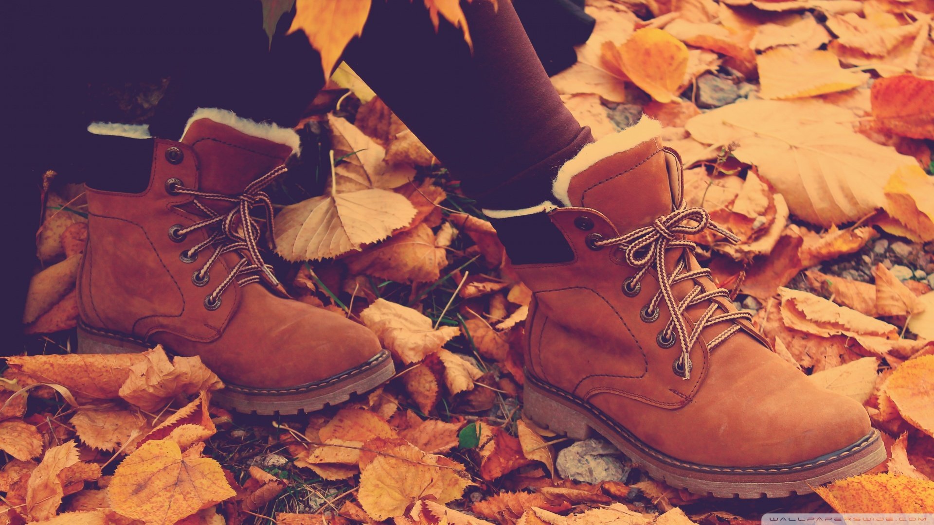 小清新,靴子,静物写真,落叶,少女,秋日