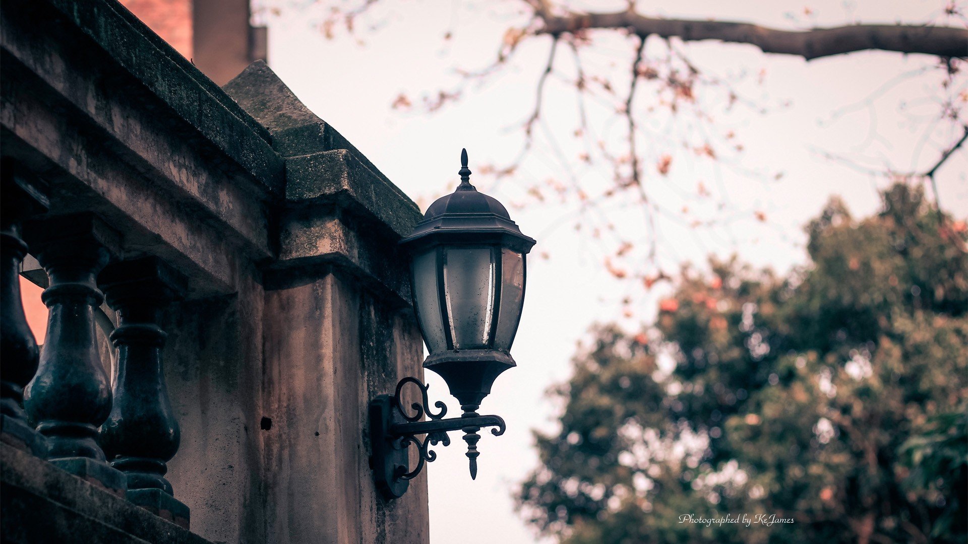 小清新,路灯,静物写真
