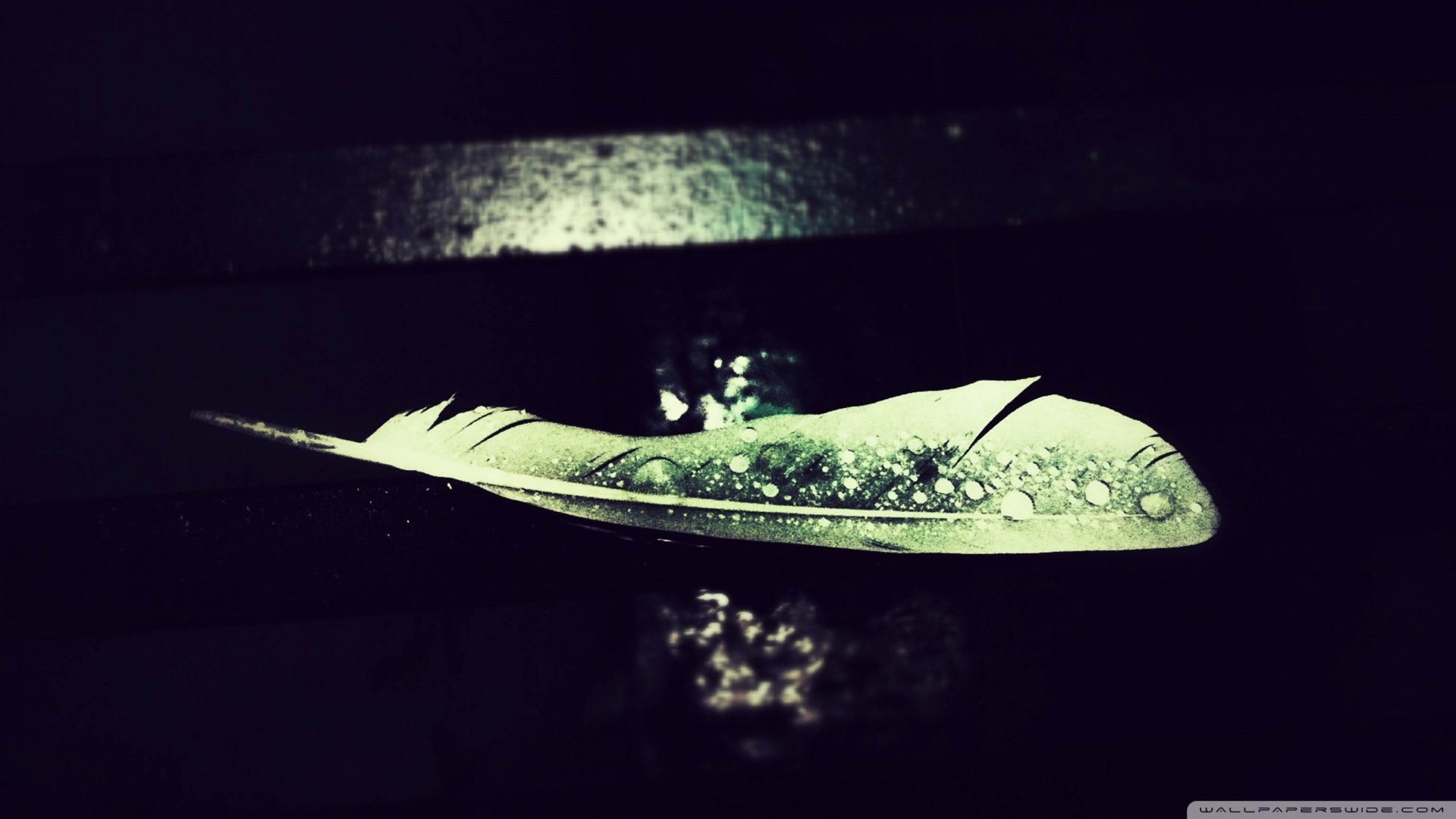 创意,简约,羽毛