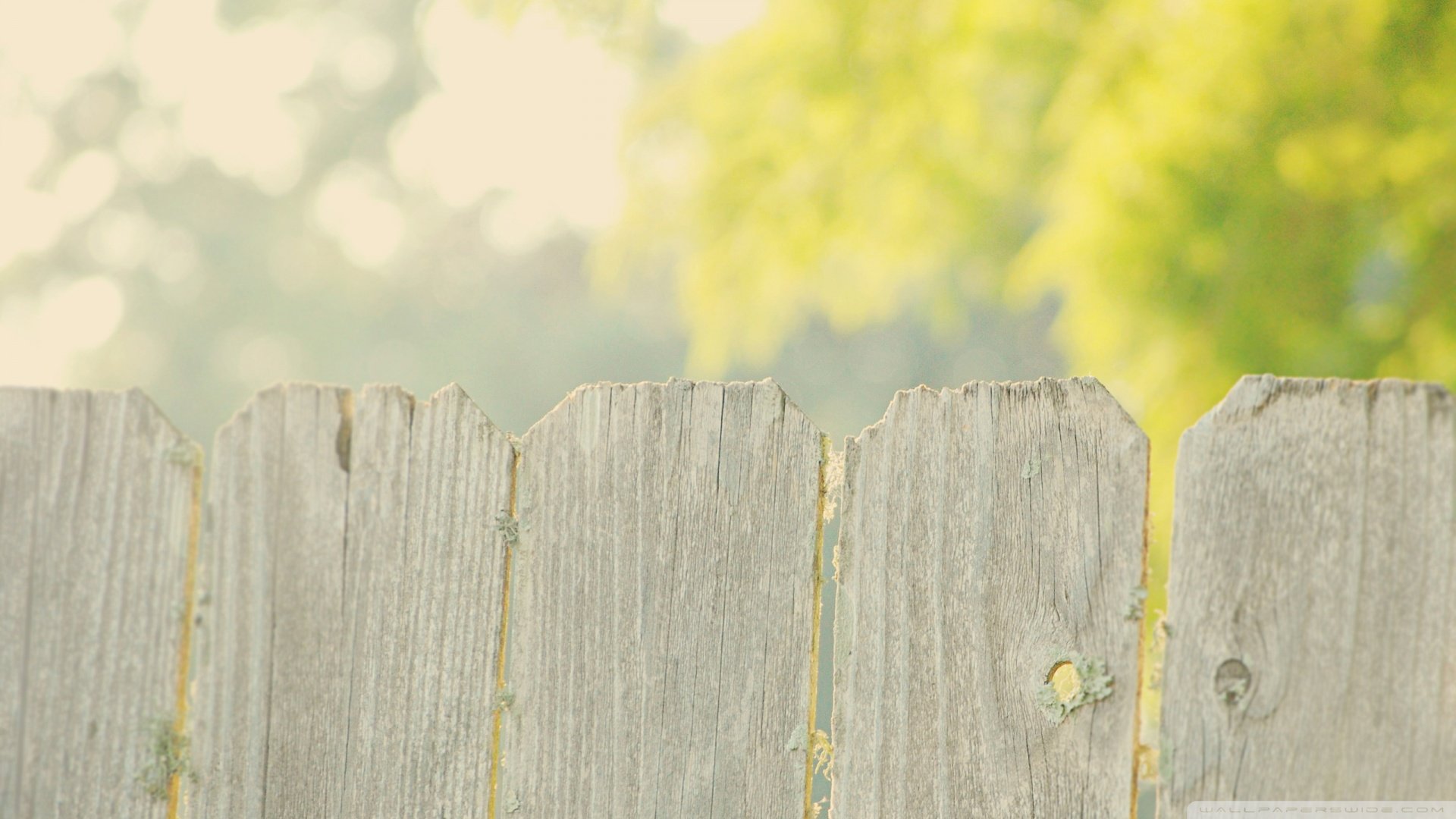 小清新,清新淡雅,儿童桌面专用