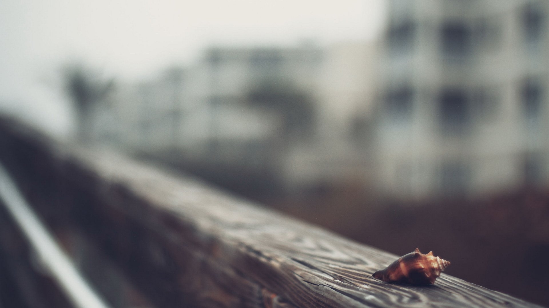 小清新,温馨一刻,儿童桌面专用