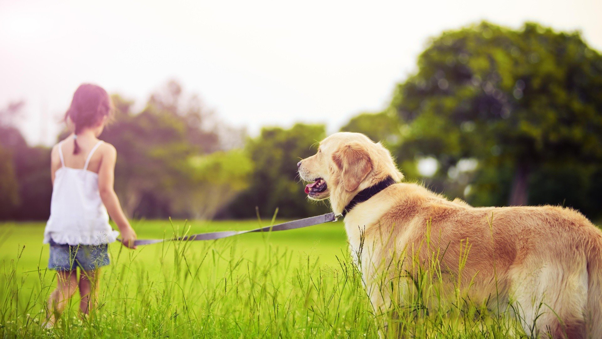 小清新,狗狗,儿童,童真,儿童桌面专用