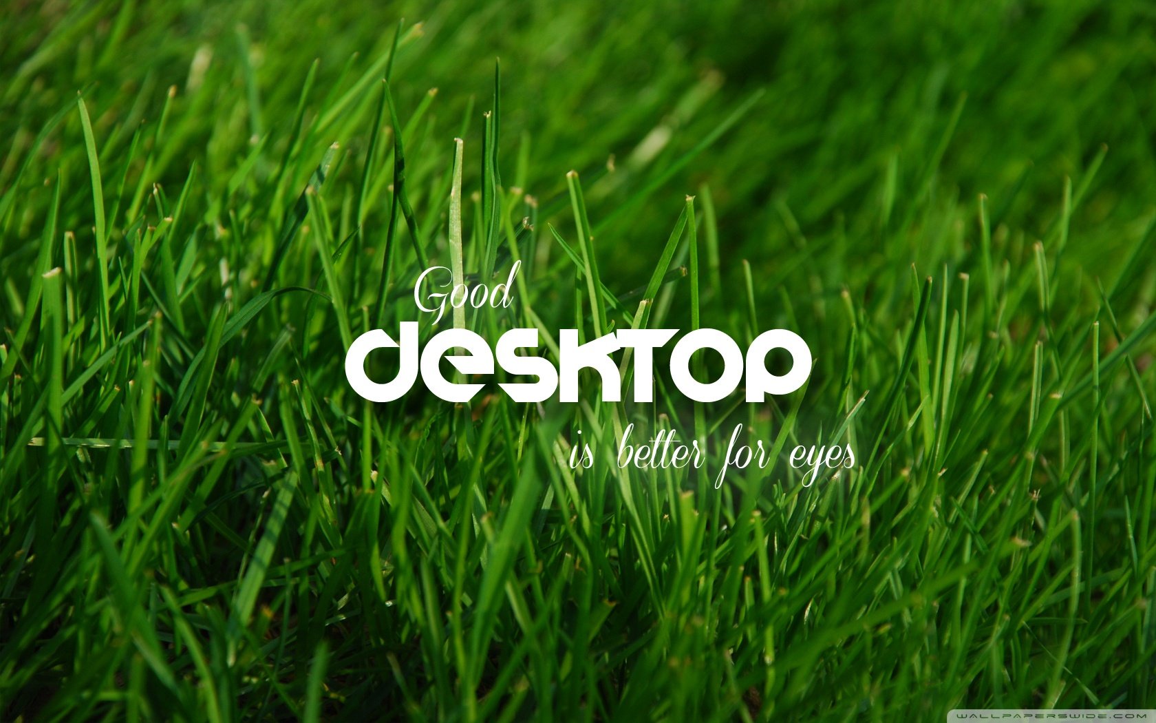 创意,文字,草地,简约,儿童桌面专用