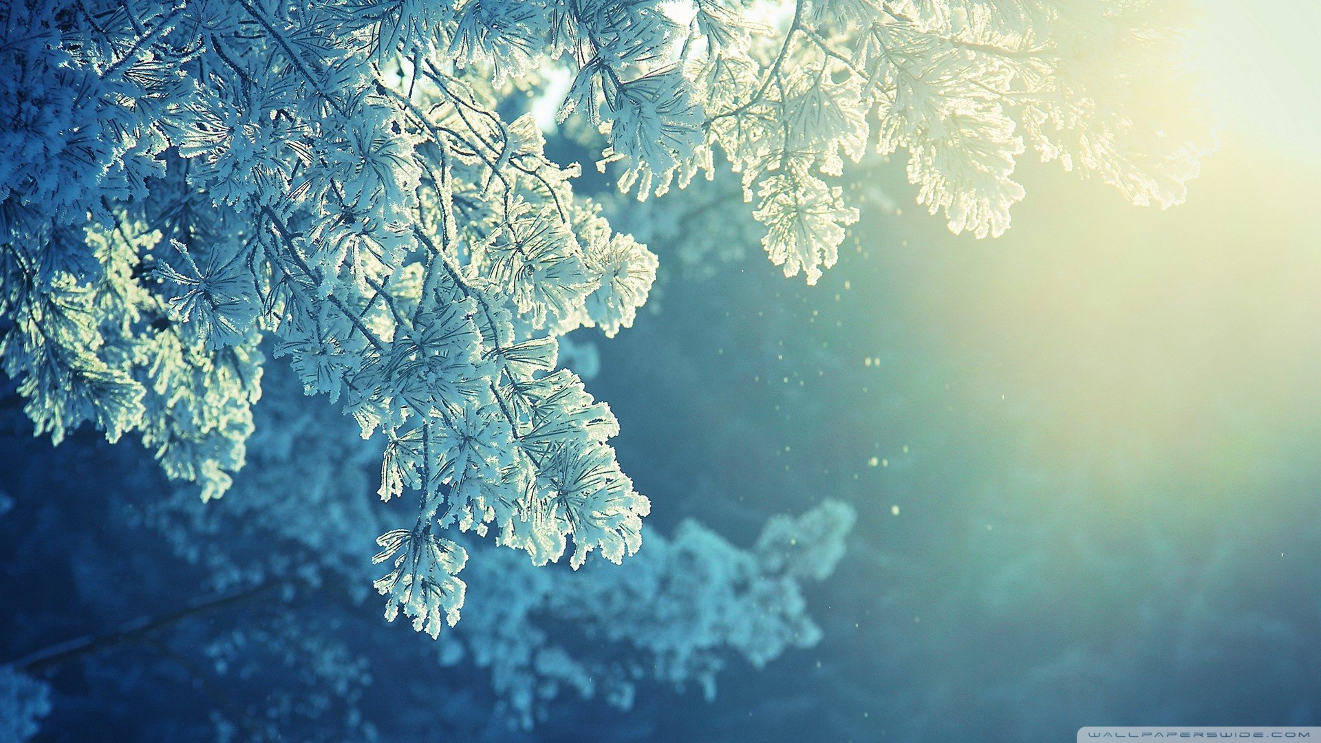 风景,冰天雪地,儿童桌面专用