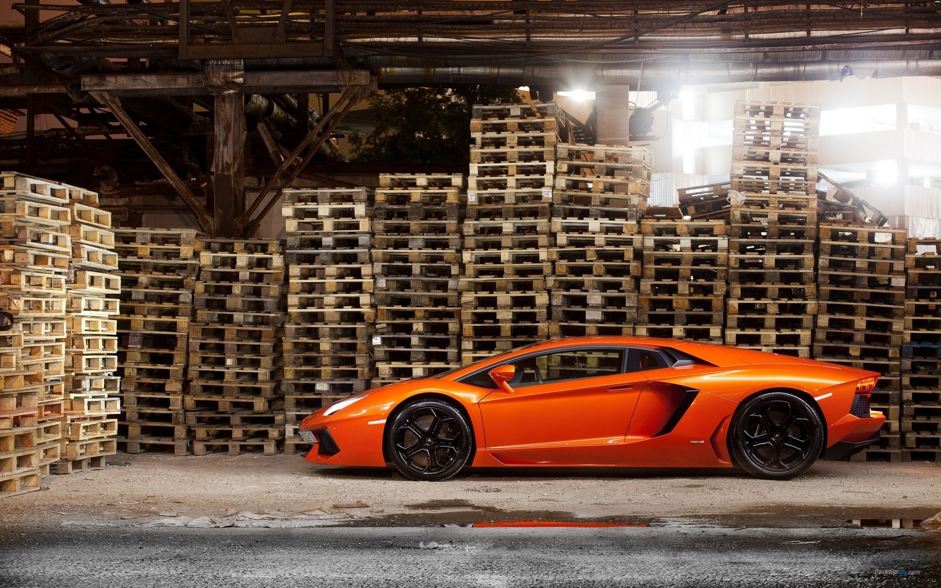 汽车,兰博基尼,儿童桌面专用