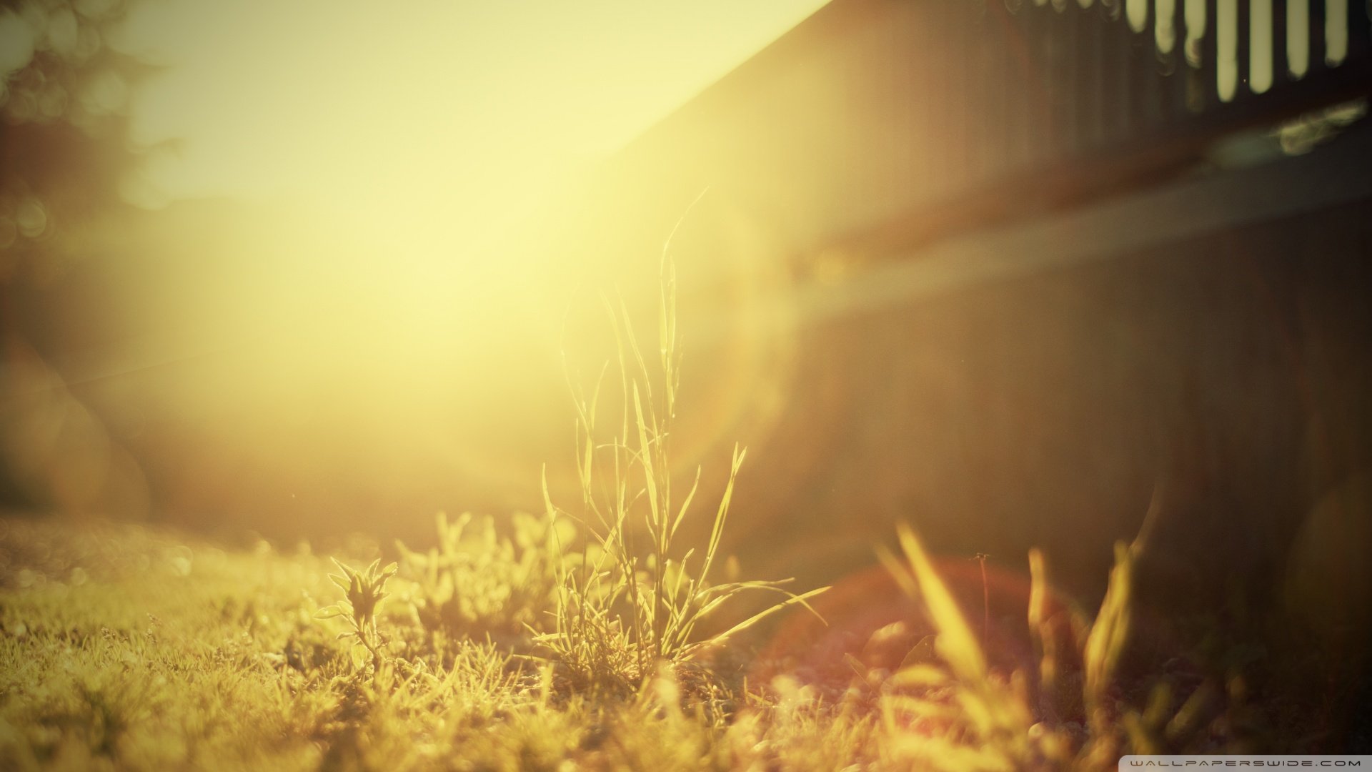 小清新,清新淡雅,儿童桌面专用