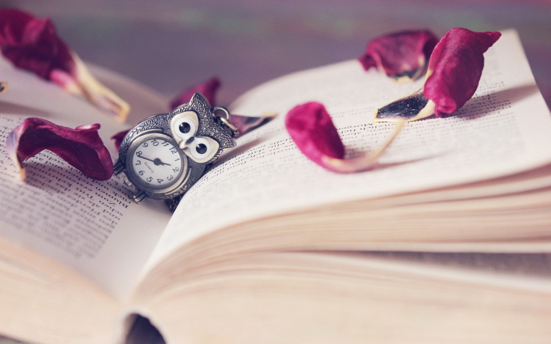 小清新,书,猫头鹰,公仔,儿童桌面专用