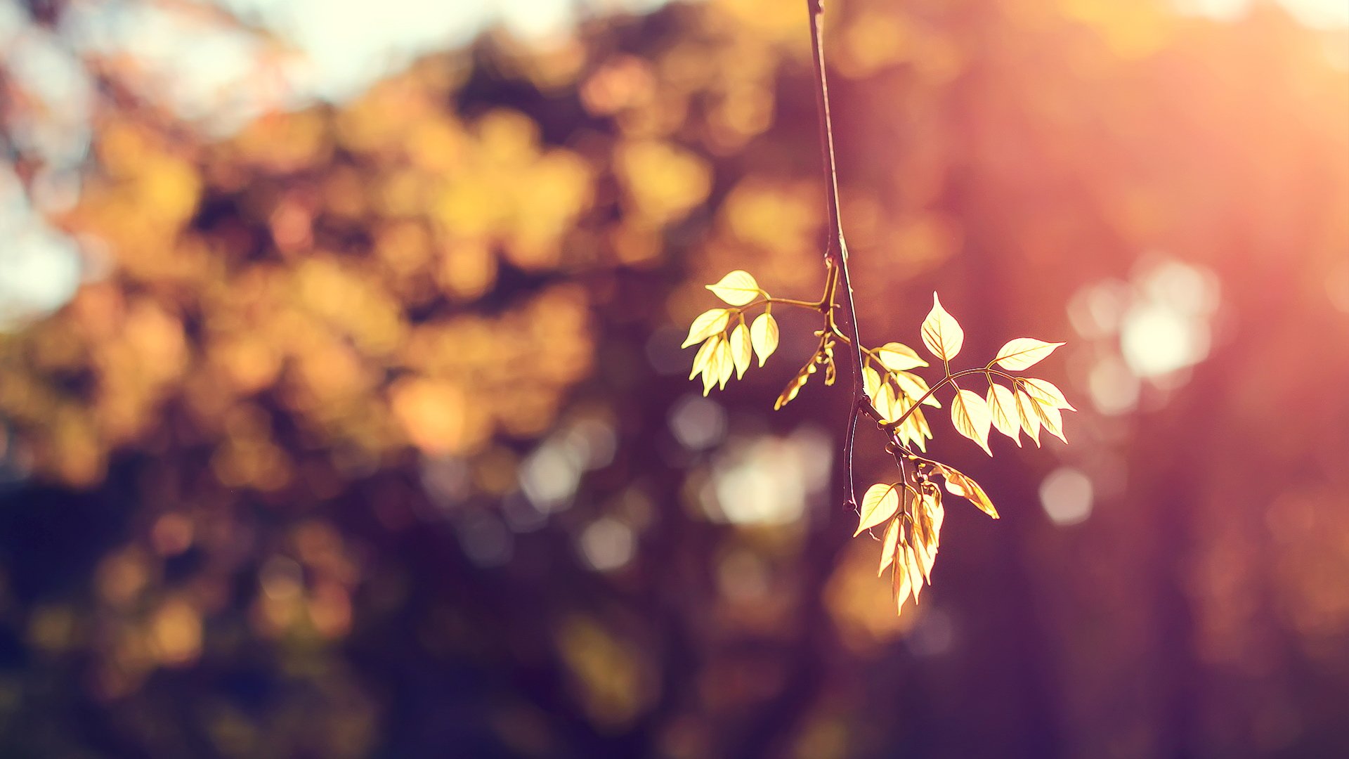 小清新,温馨一刻,儿童桌面专用