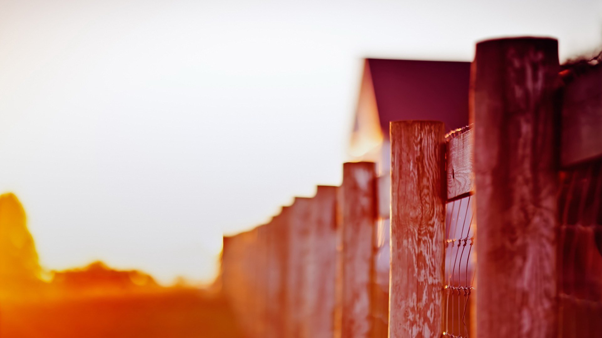 小清新,温馨一刻,阳光,午后,儿童桌面专用