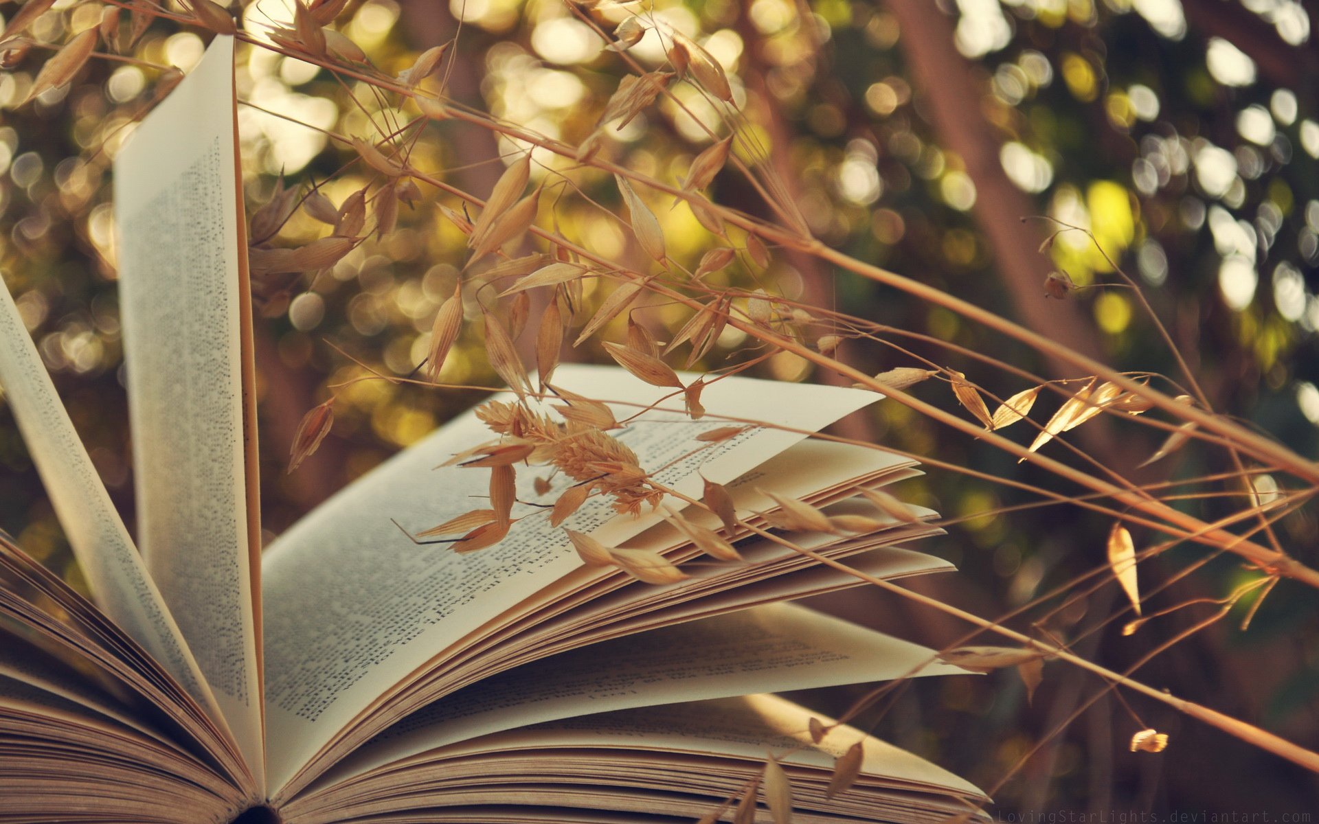 小清新,书籍,书本,静物写真,儿童桌面专用