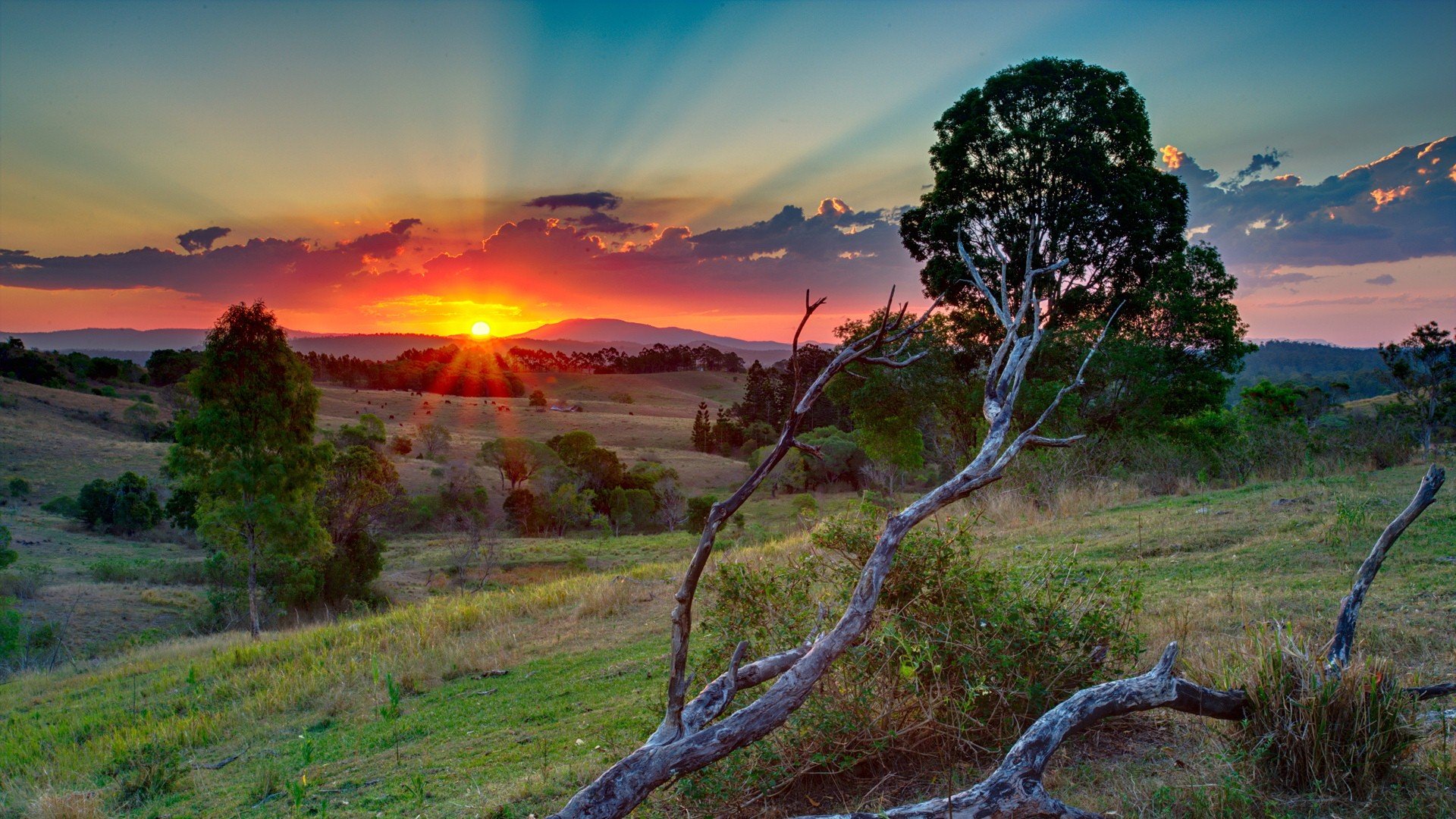 风景,自然风光,日出,摄影,儿童桌面专用