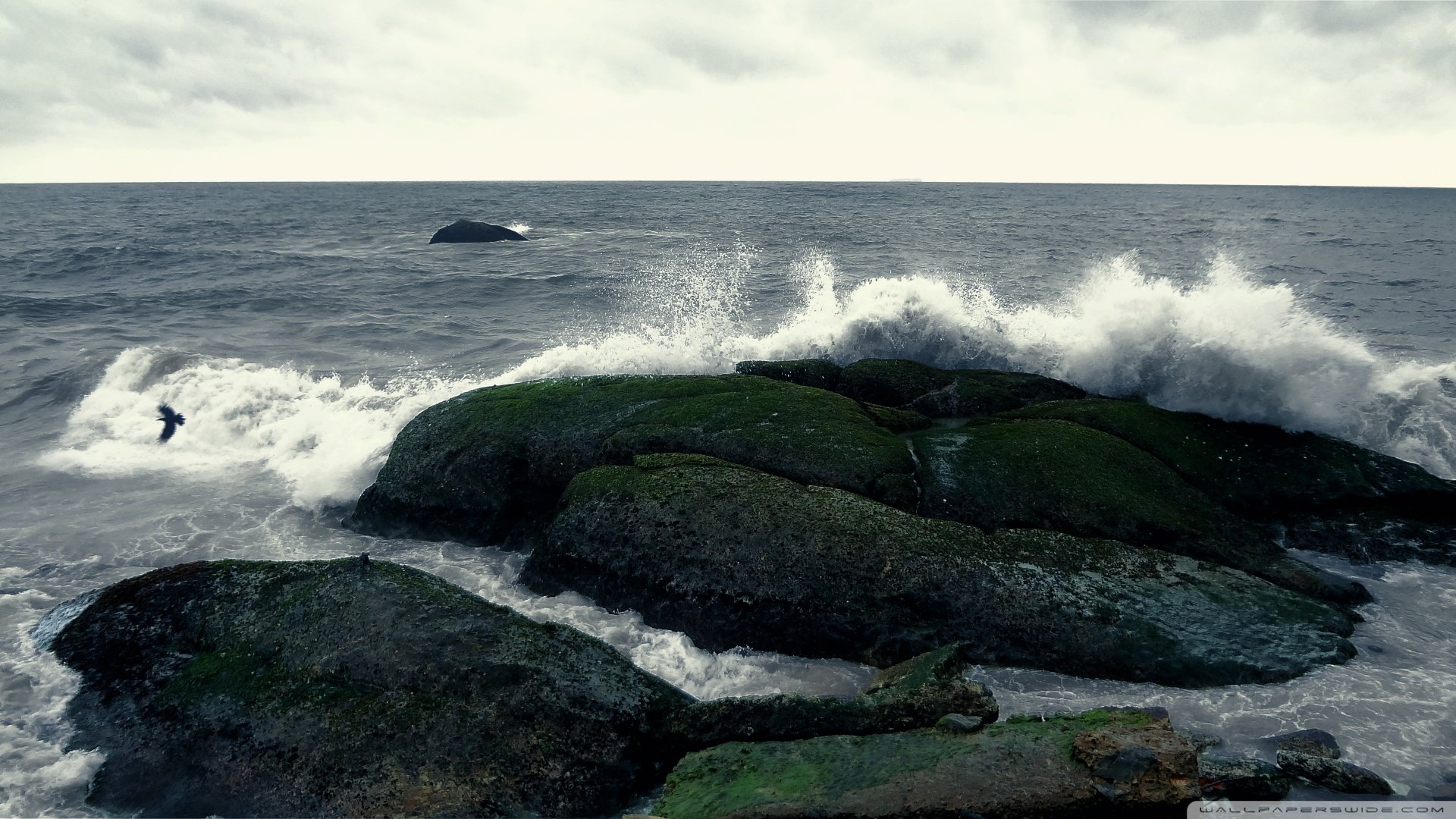 风景,海洋天堂,摄影,儿童桌面专用