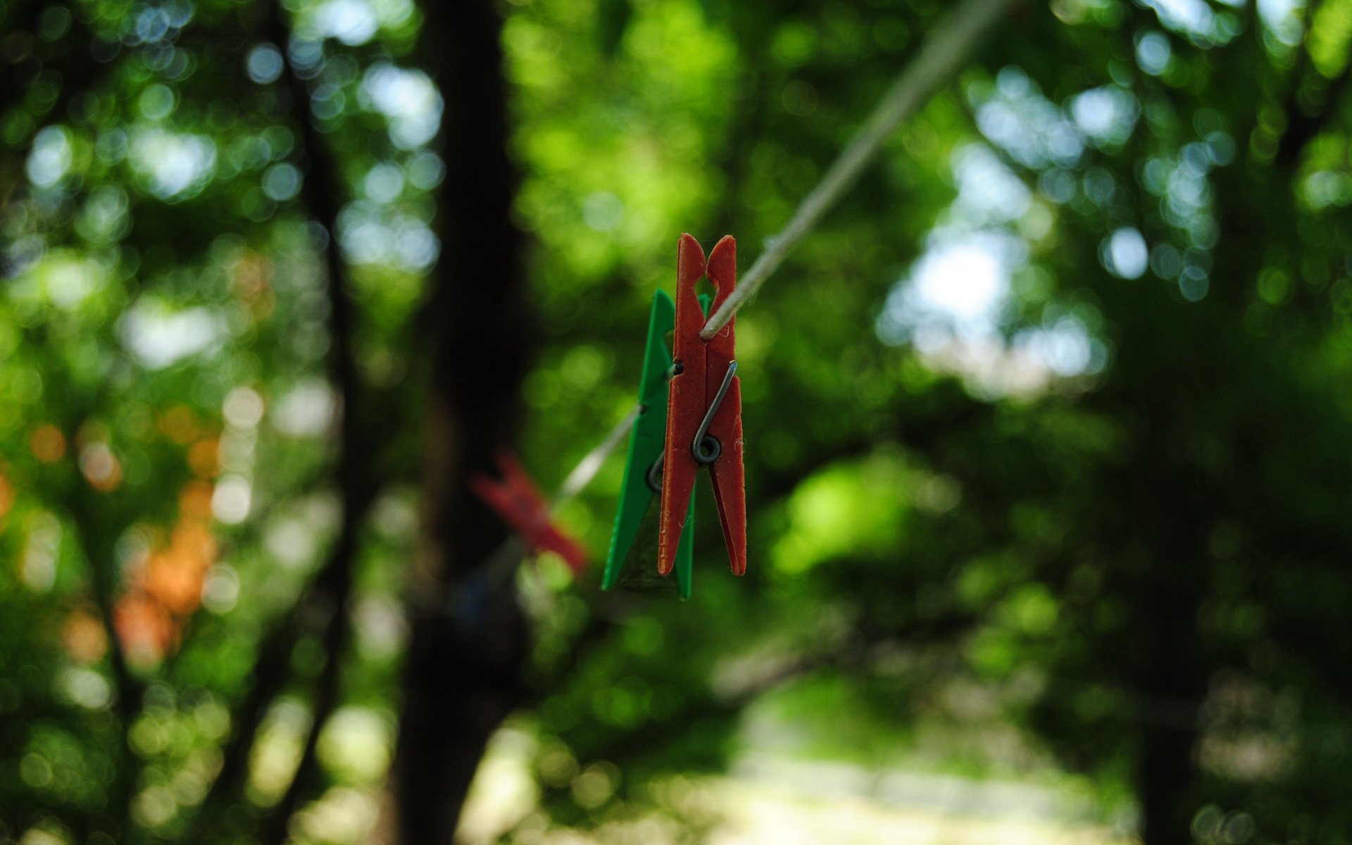 小清新,静物写真,夹子,儿童桌面专用