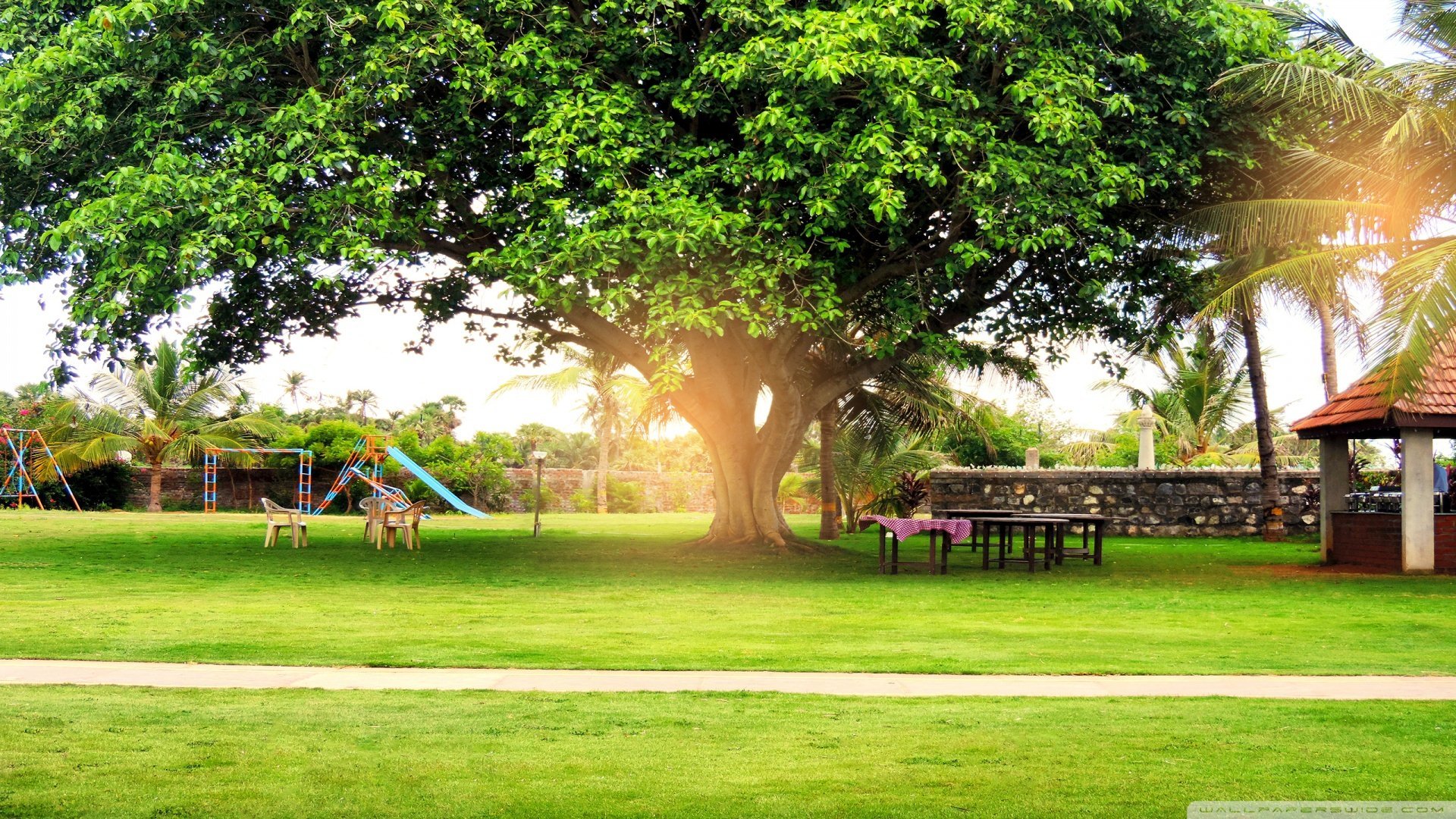 风景,自然风光,清晨,绿地,儿童桌面专用