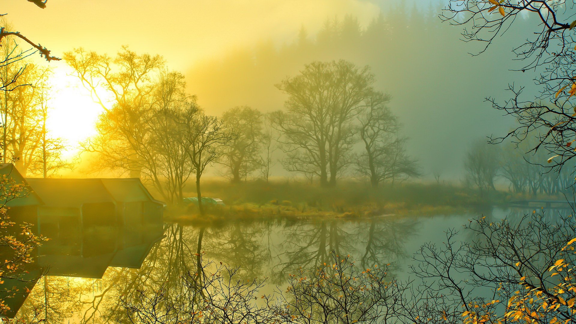 风景,深秋,落叶,秋意正浓,郊外,儿童桌面专用