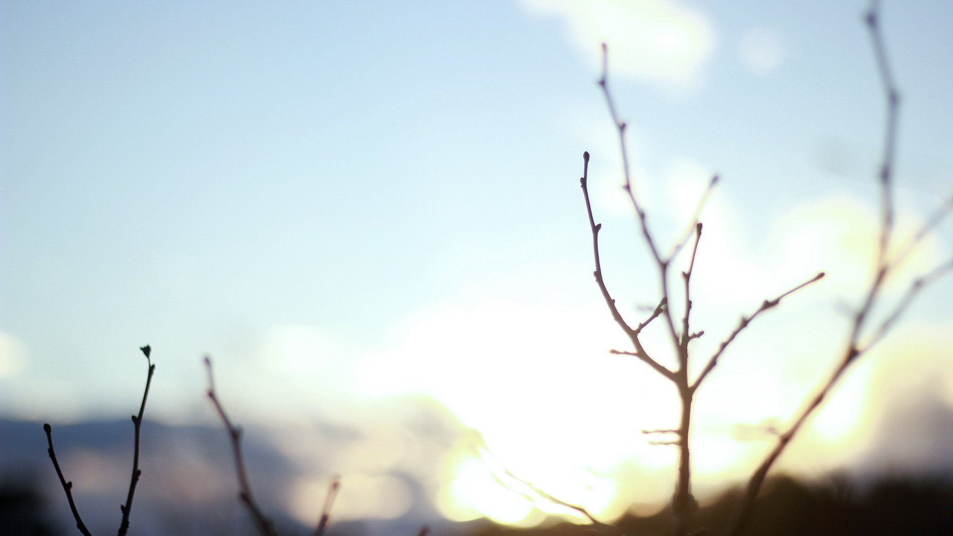 小清新,清晨,温馨一刻,儿童桌面专用