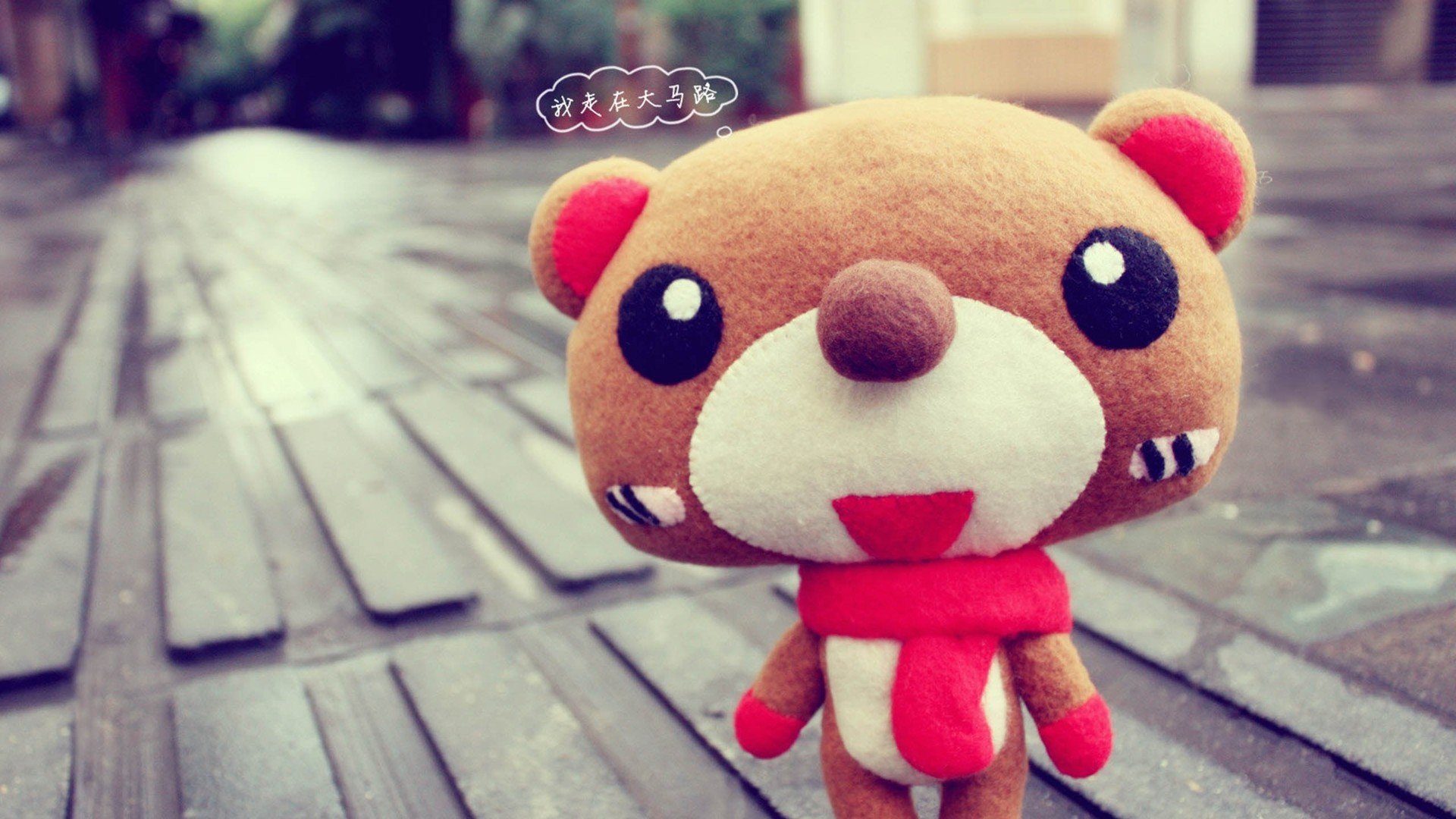 小清新,熊,公仔,玩偶,静物写真,儿童桌面专用