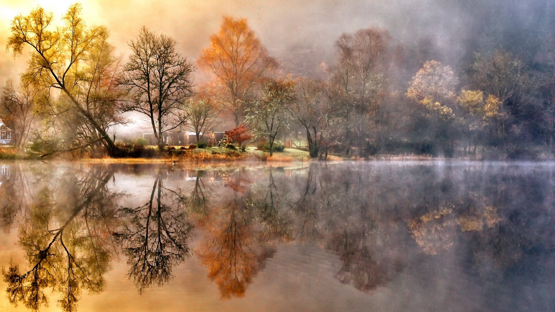 风景,深秋,落叶,秋意正浓,郊外,儿童桌面专用