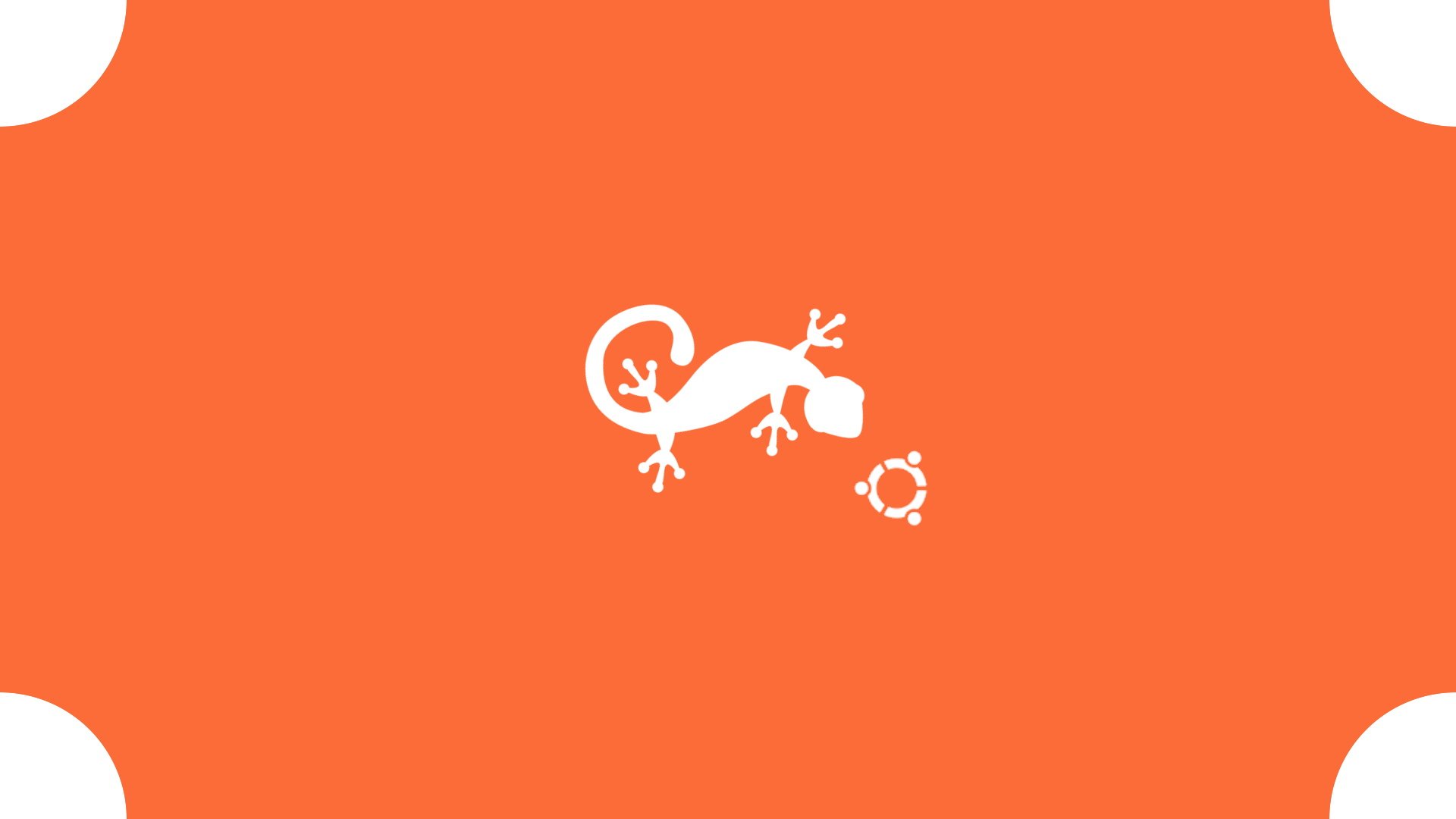 炫酷,简约,壁虎,设计,儿童桌面专用