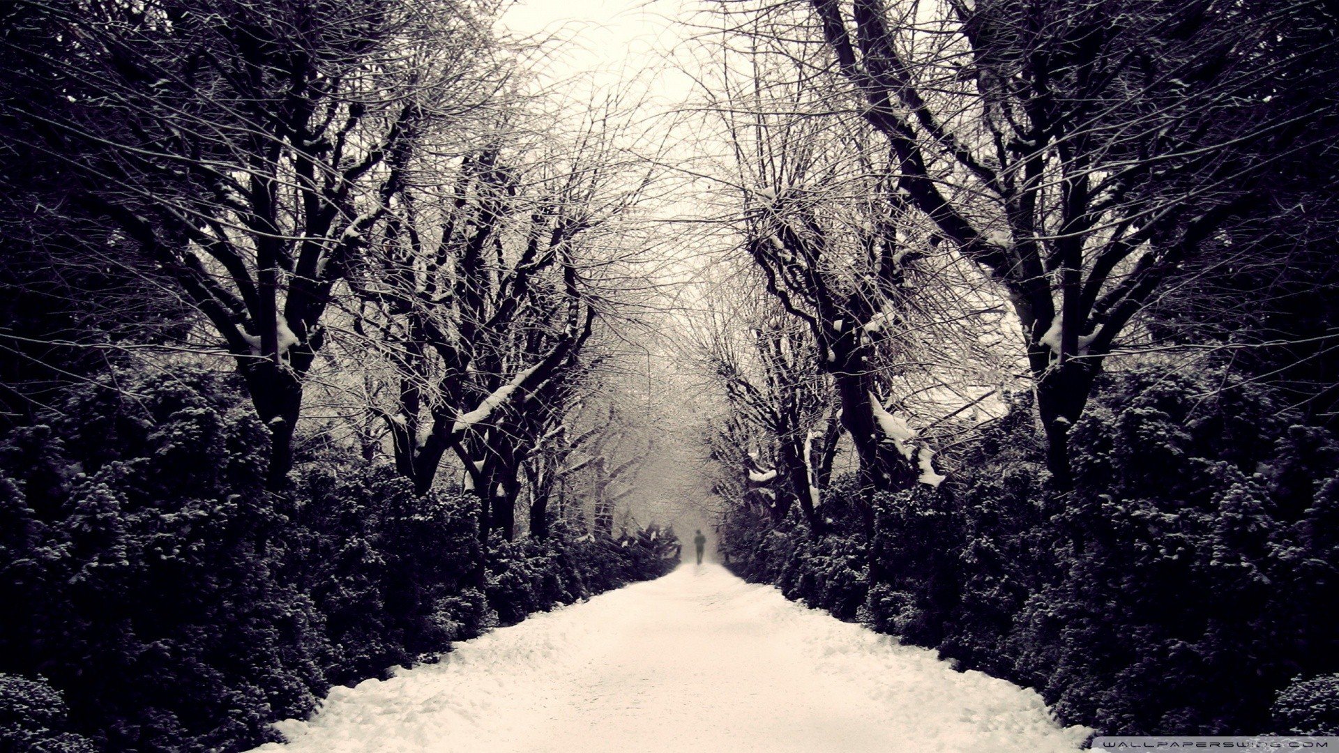 风景,冰天雪地,儿童桌面专用