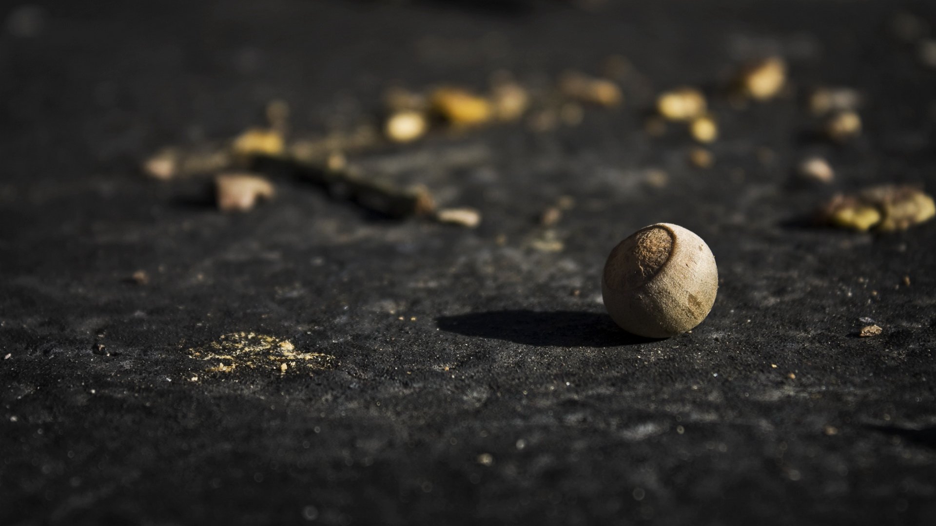 小清新,橡子,静物写真