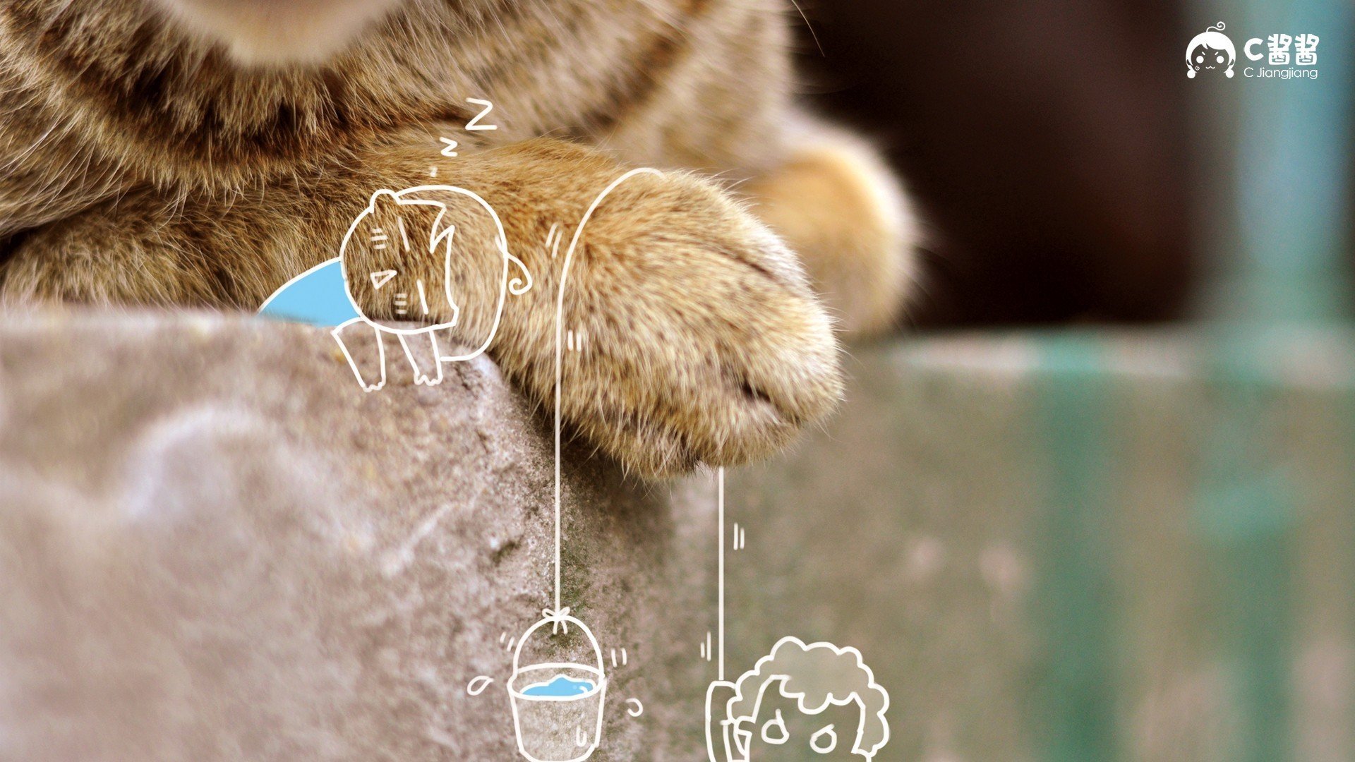 萌宠,动物,喵星人,猫咪,猫,手绘,恶搞,可爱,萌物,儿童桌面专用