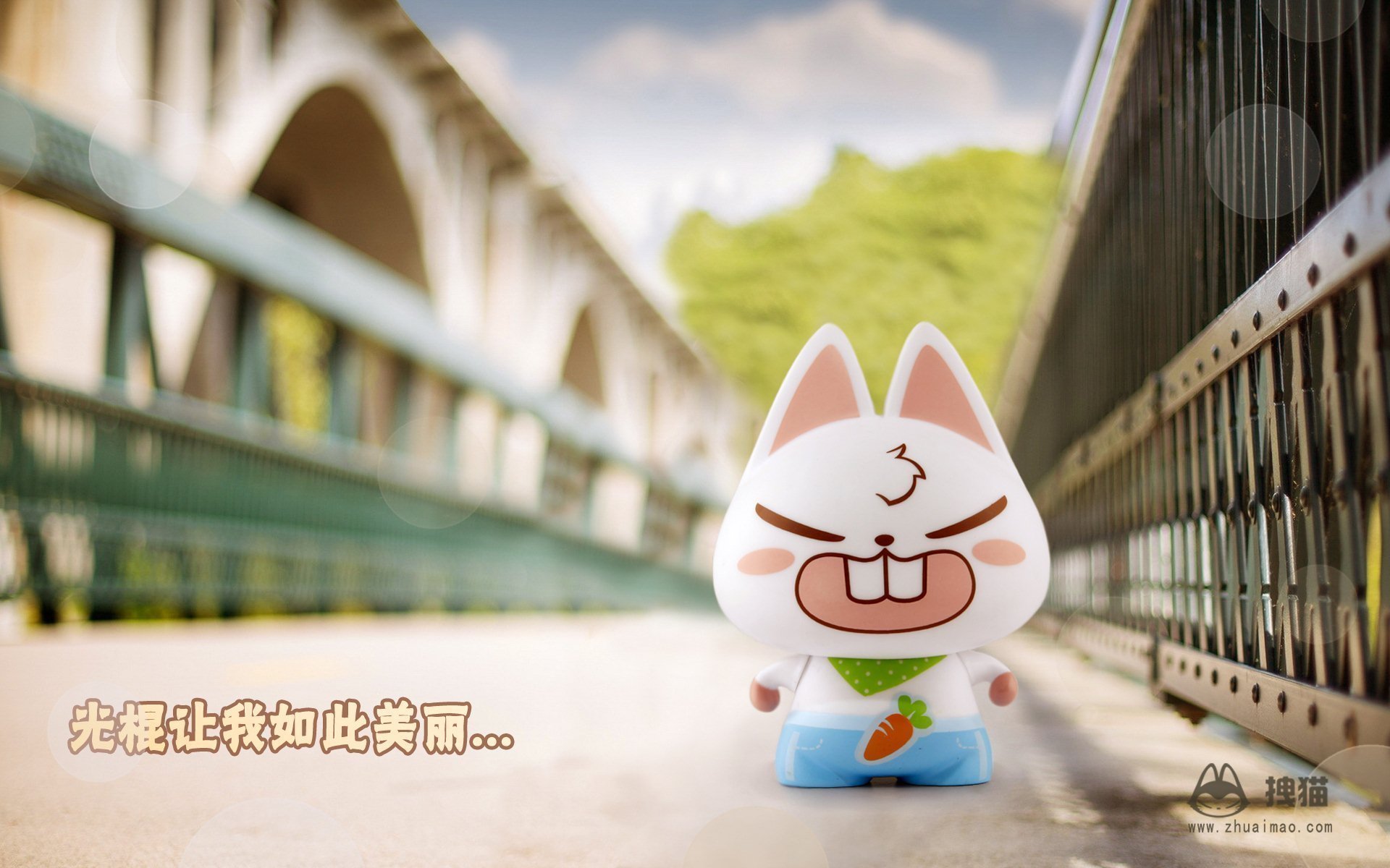 动漫,拽猫,光棍节,1111,拽猫光棍节,儿童桌面专用