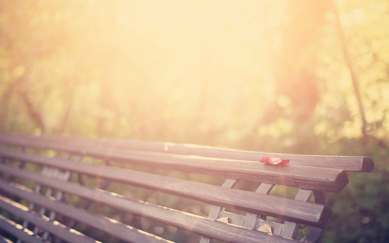 小清新,长椅,阳光,午后,温暖,温馨,儿童桌面专用