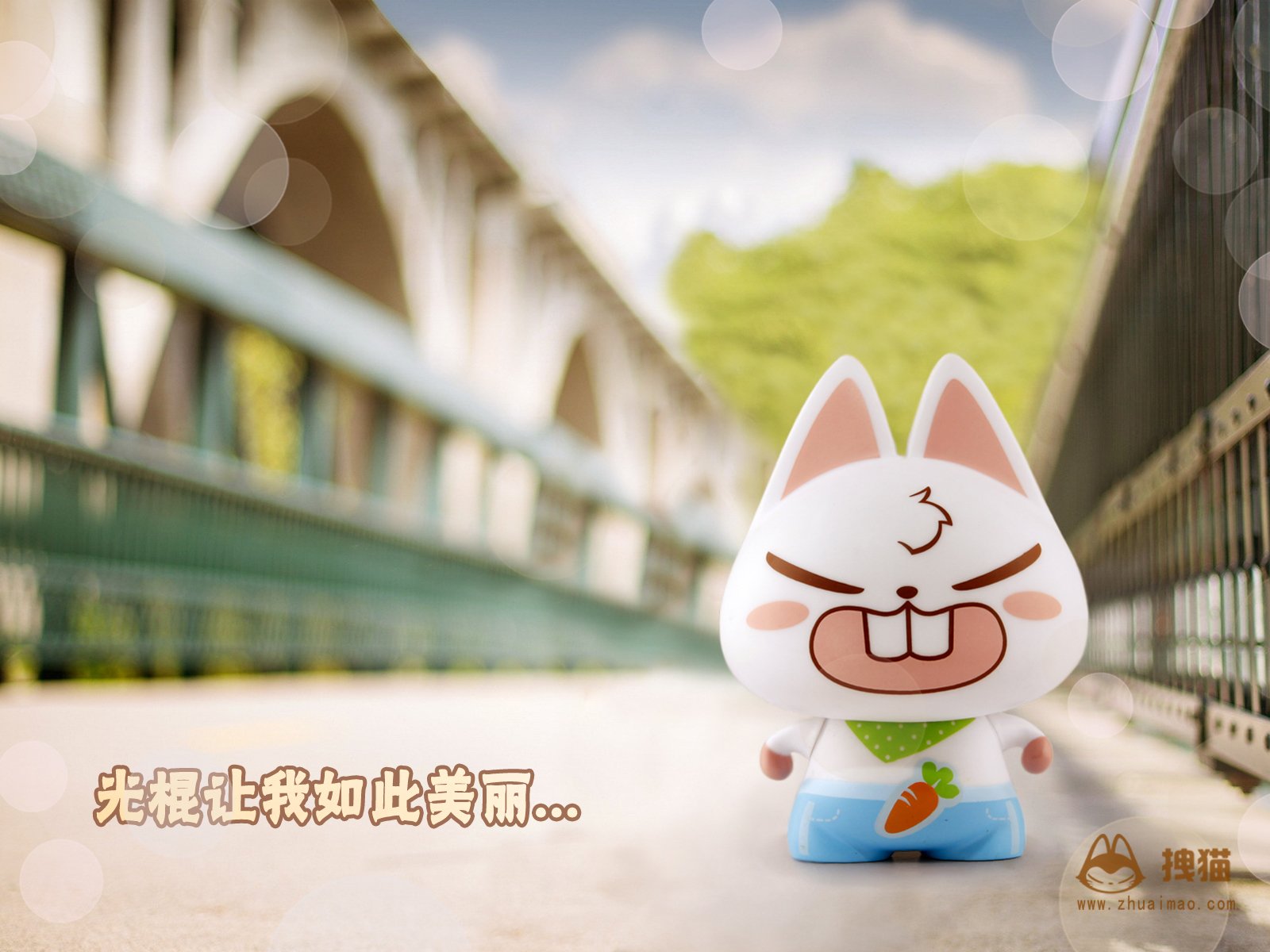 动漫,卖萌,可爱,手绘,唯美,拽猫,光棍节,儿童桌面专用