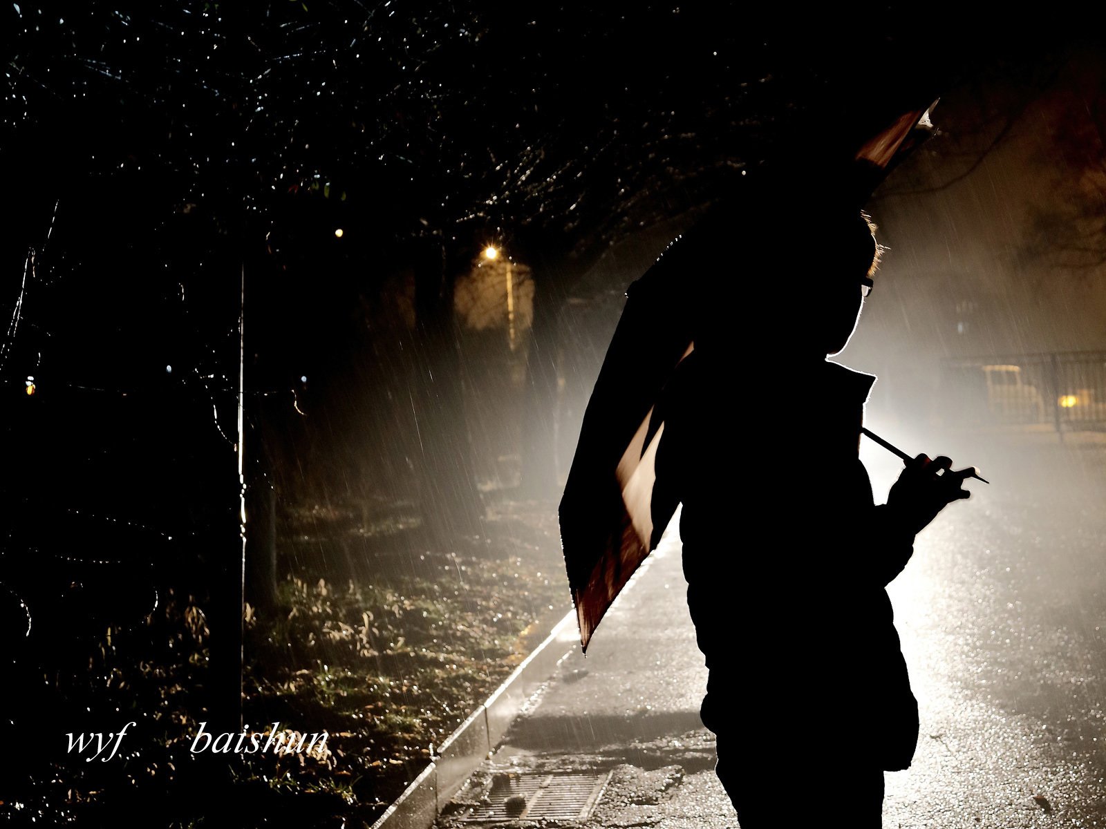 王百顺,意境,写真