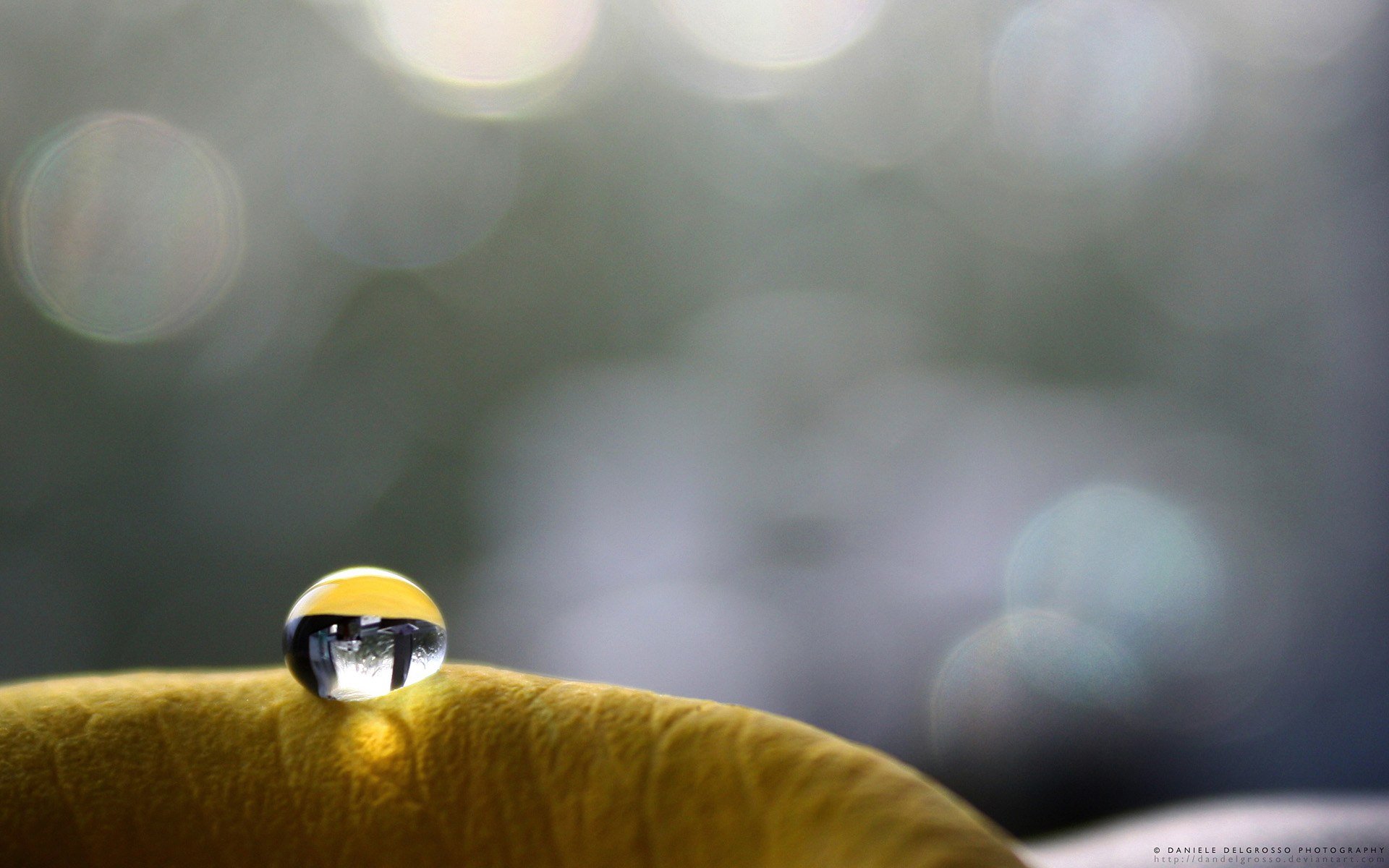 小清新,水滴,水珠,清新,静物,微距,摄影,儿童桌面专用