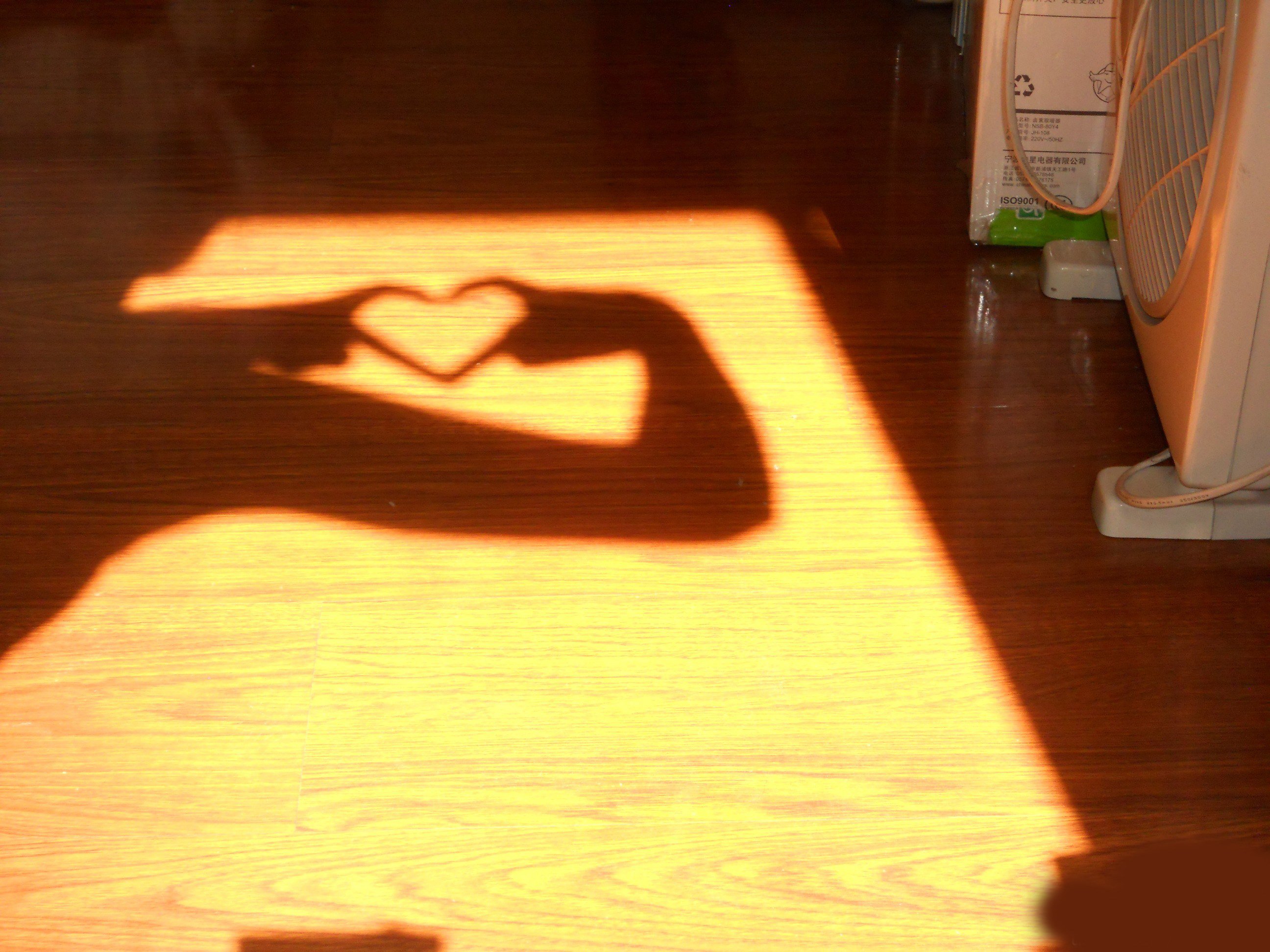 爱情,倒影,阳光,唯美,温馨