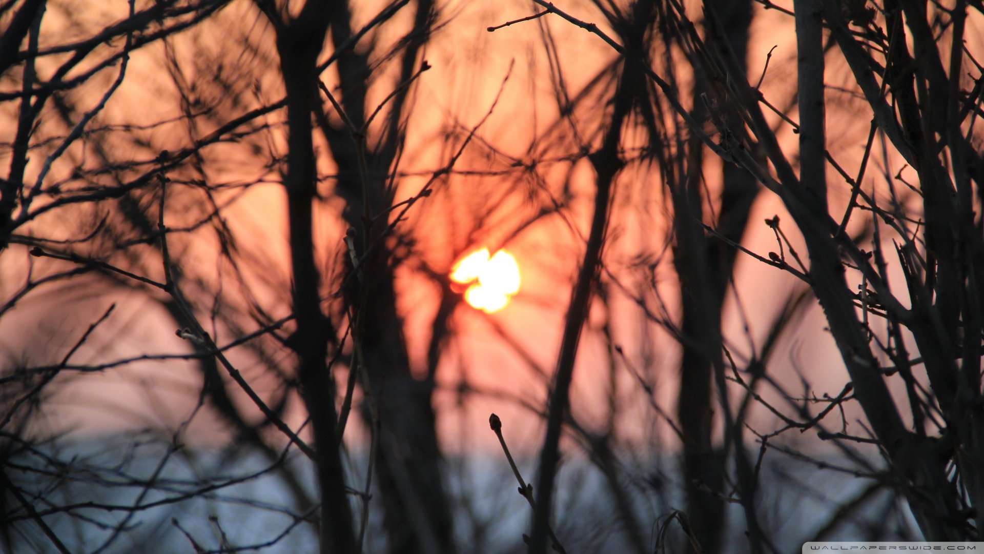 风景,落日余晖,晚霞,儿童桌面专用