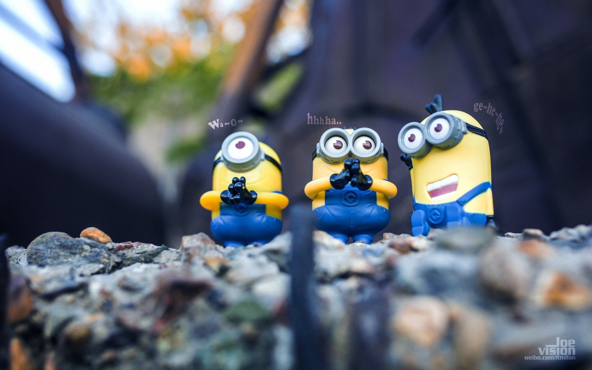 小黄人,卑鄙的我,摄影,微距,搞笑,卖萌,可爱,@爱玩摄影的Joe,儿童桌面专用