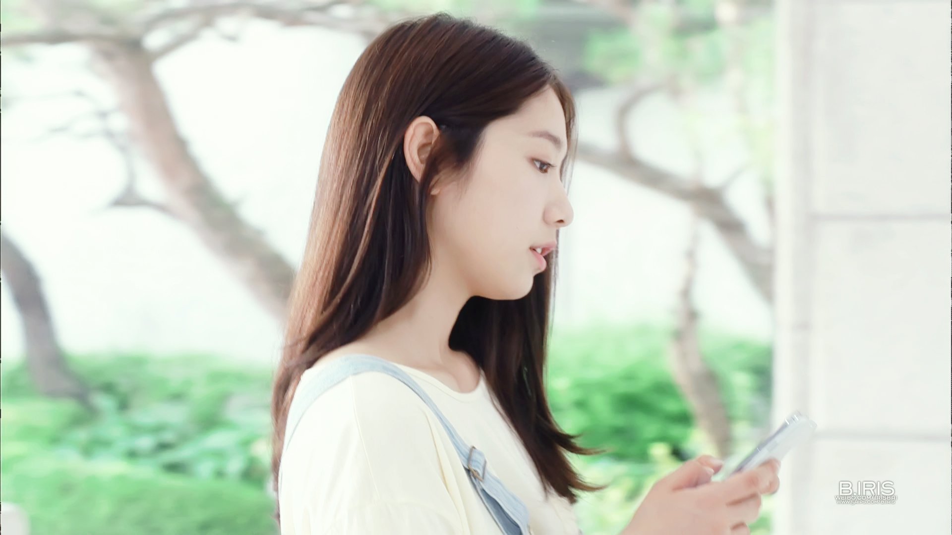 明星,朴信惠,继承者们