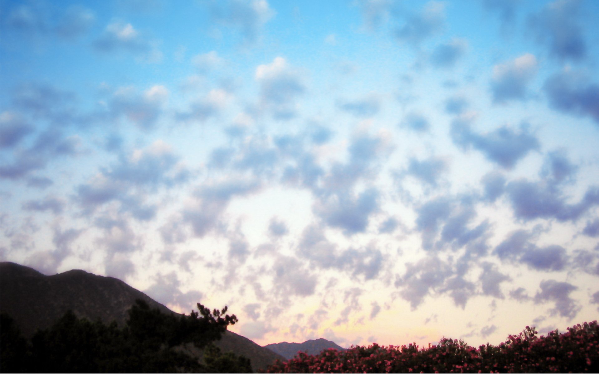 风景,天空,儿童桌面专用