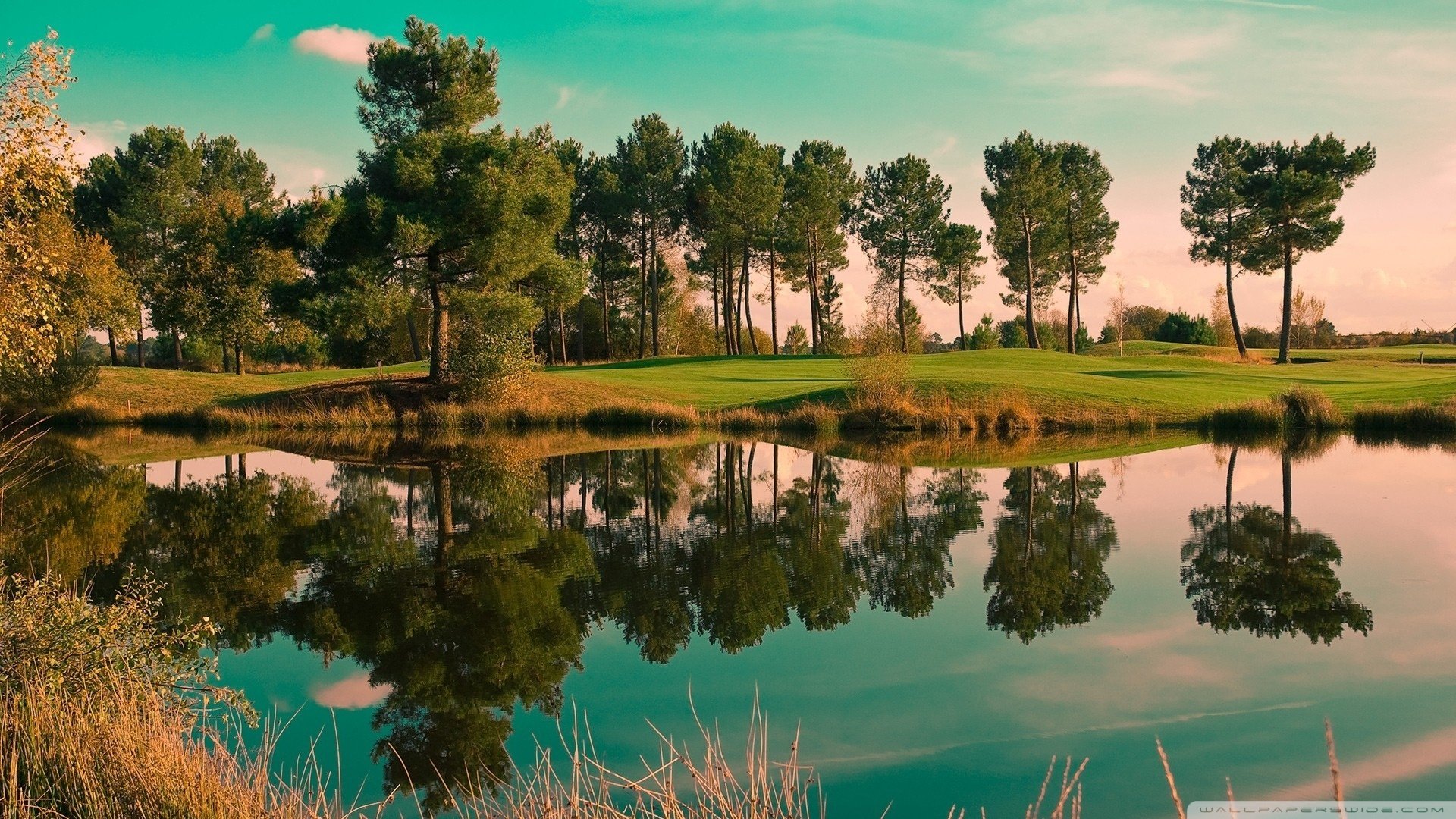 风景,夕阳,黄昏,植物,树林,湖畔,湖面,儿童桌面专用