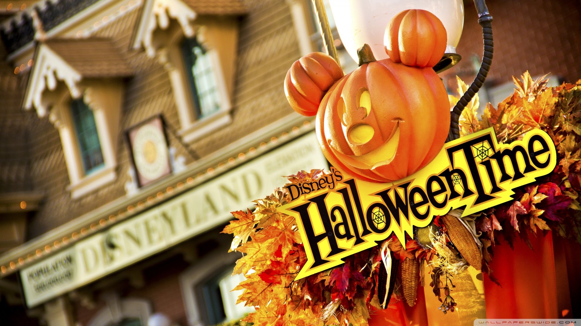 创意,万圣节,儿童桌面专用