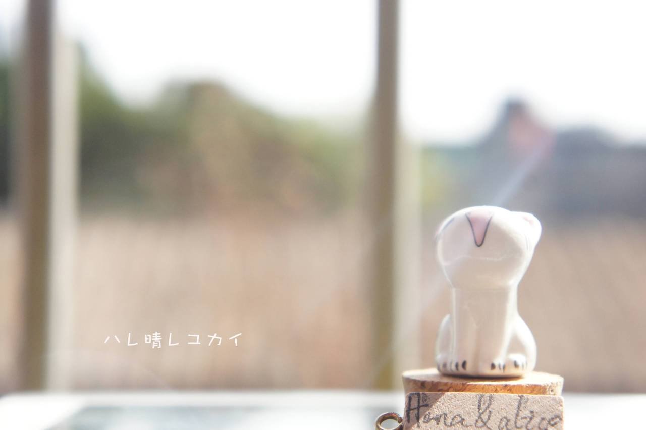 小清新,窗台,静物,公仔,儿童桌面专用