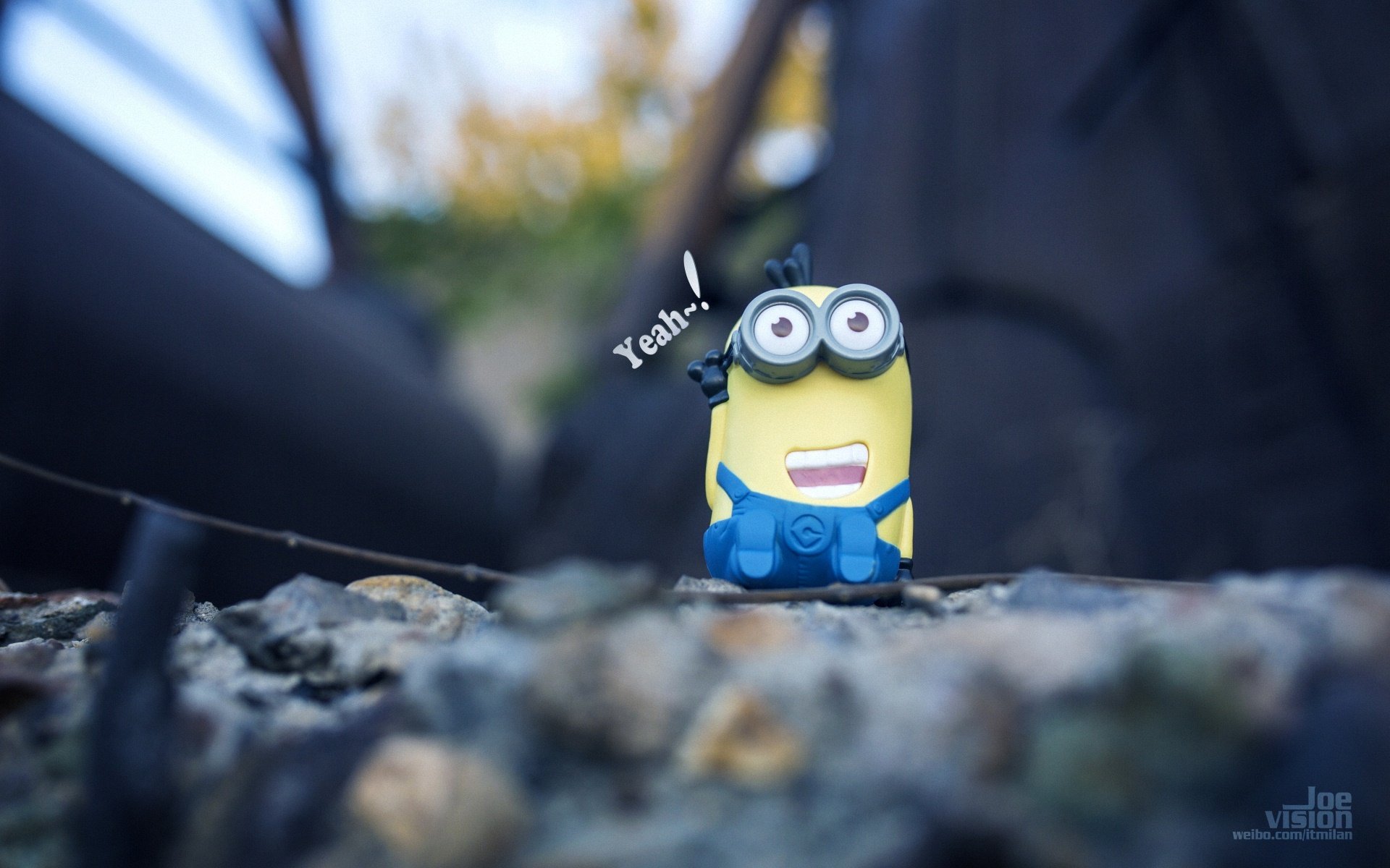 小黄人,卑鄙的我,摄影,微距,搞笑,卖萌,可爱,@爱玩摄影的Joe,儿童桌面专用