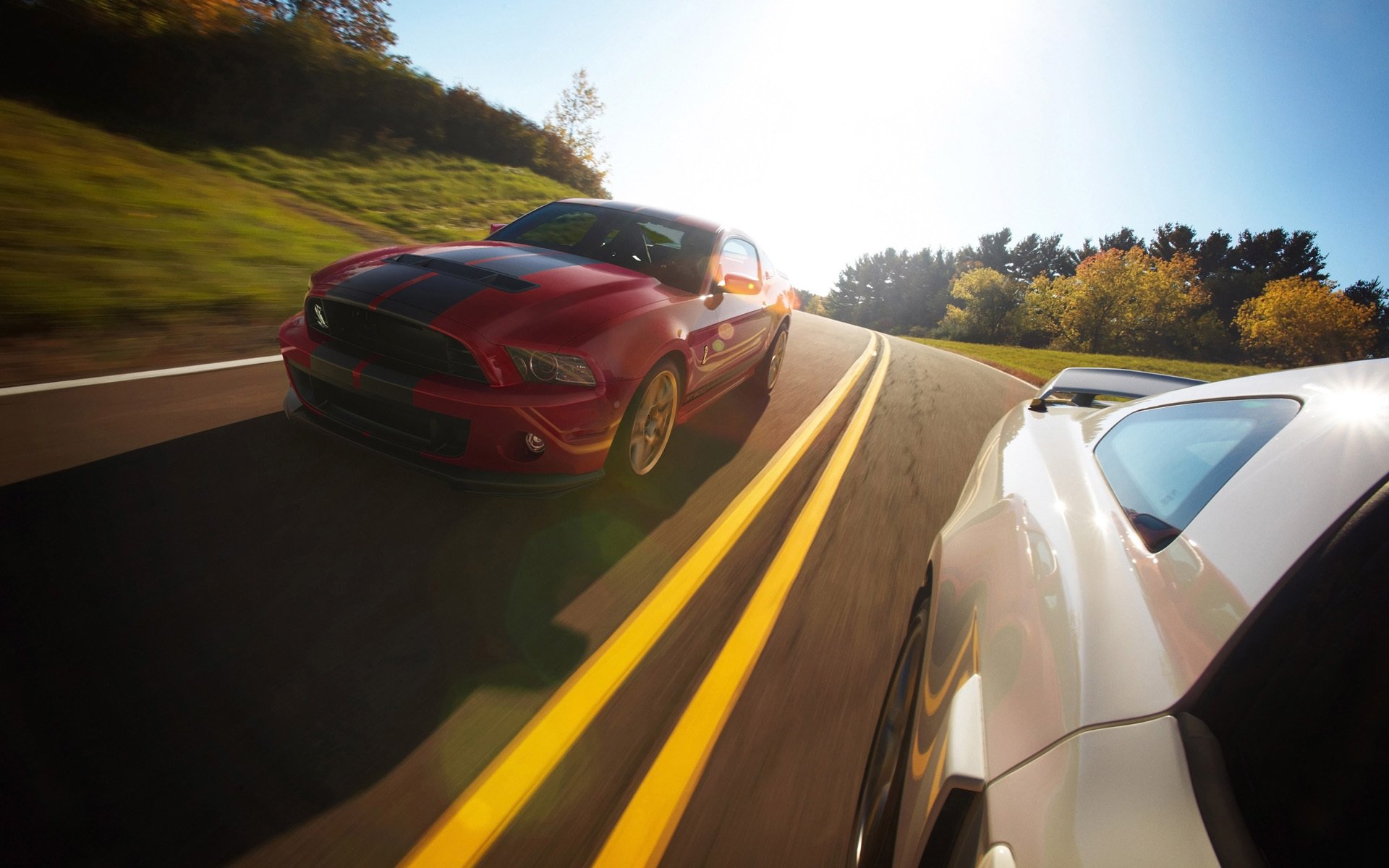 汽车,豪车,跑车,超跑,福特,野马,儿童桌面专用