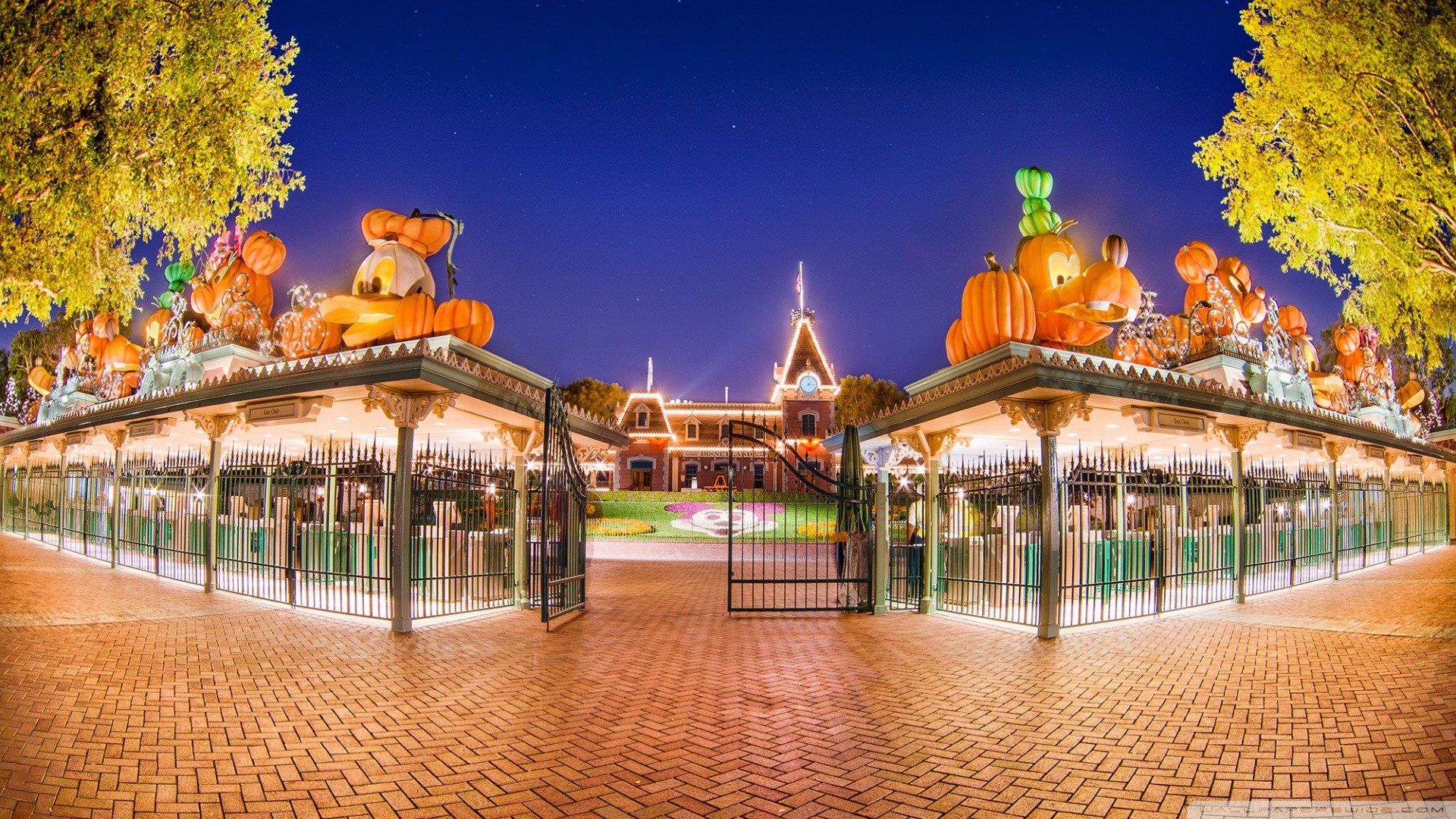 风景,秋意正浓,儿童桌面专用