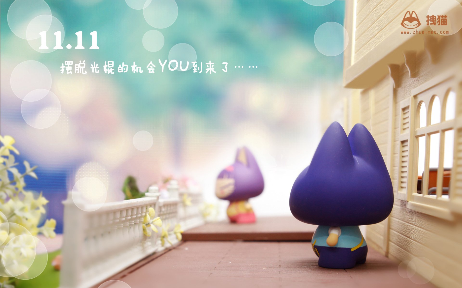 动漫,拽猫,光棍节,1111,拽猫光棍节,儿童桌面专用