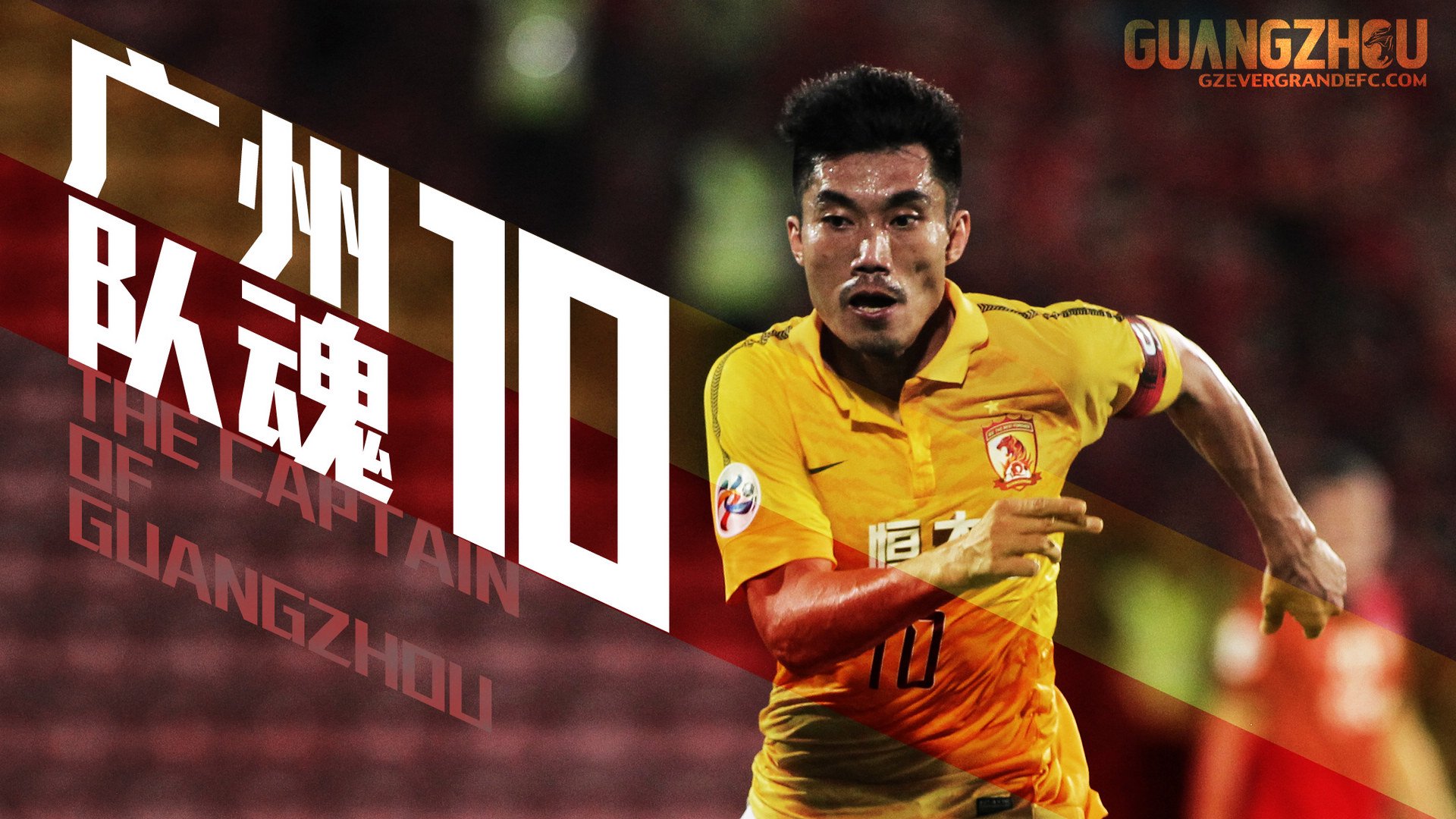 体育,广州恒大,亚冠,郑智