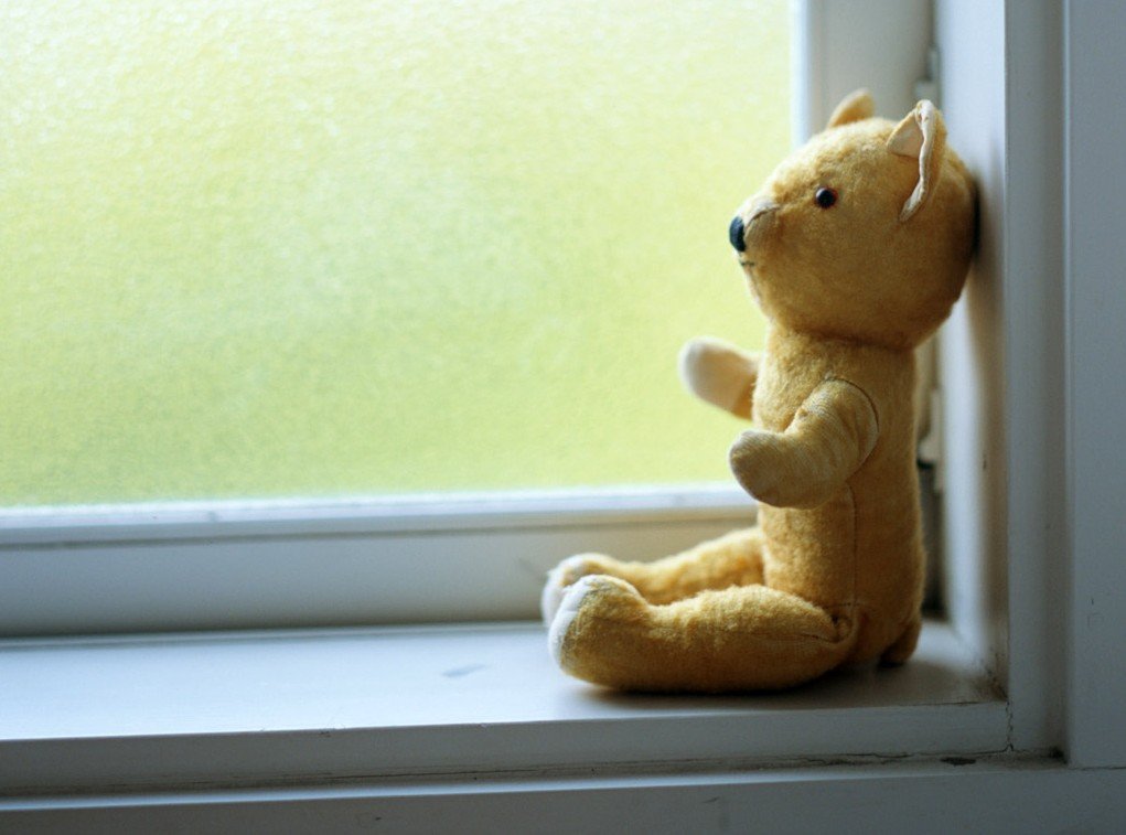 小清新,熊,玩偶,玩具,儿童桌面专用