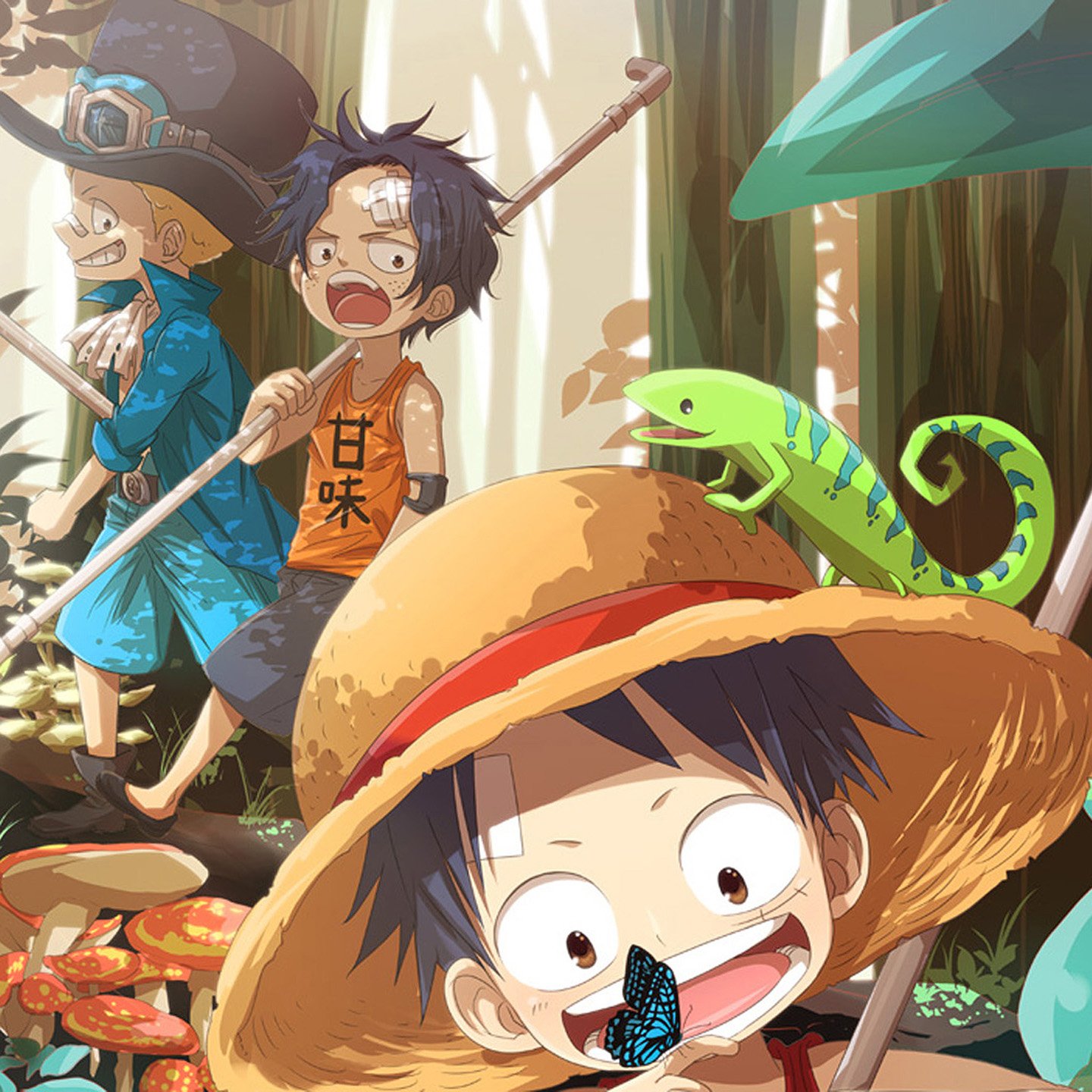 动漫,手绘,海贼王,路飞,儿童桌面专用