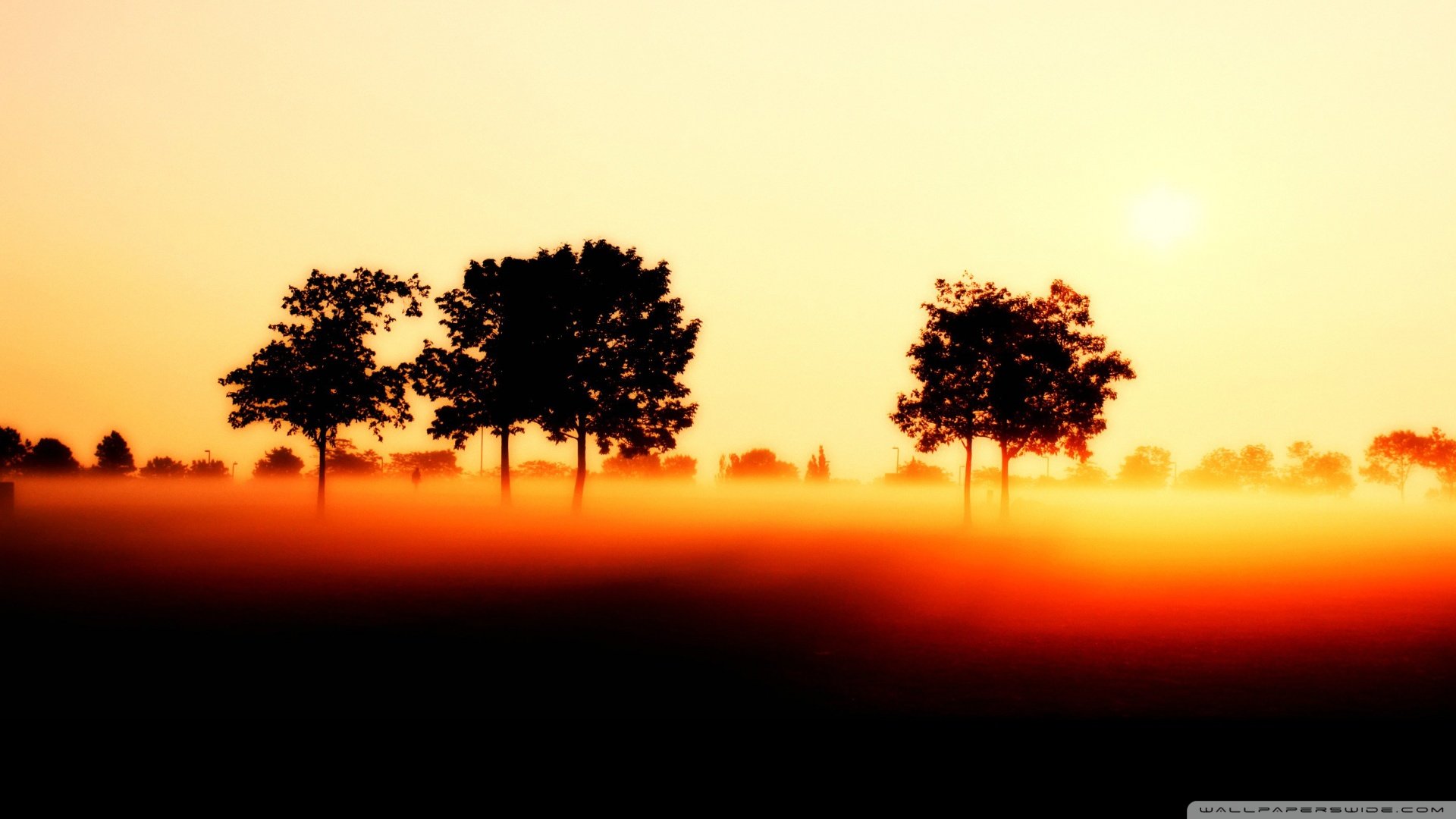 风景,草原,阳光,清晨,晨雾,儿童桌面专用