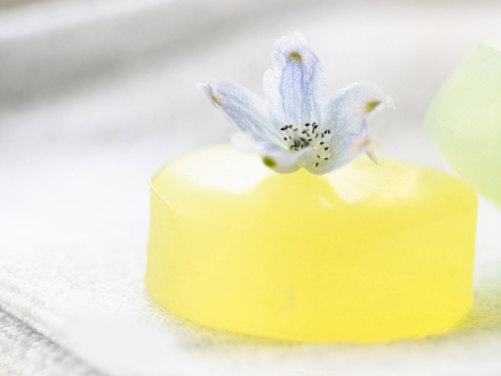 小清新,美食,布丁,鲜花,甜点,儿童桌面专用